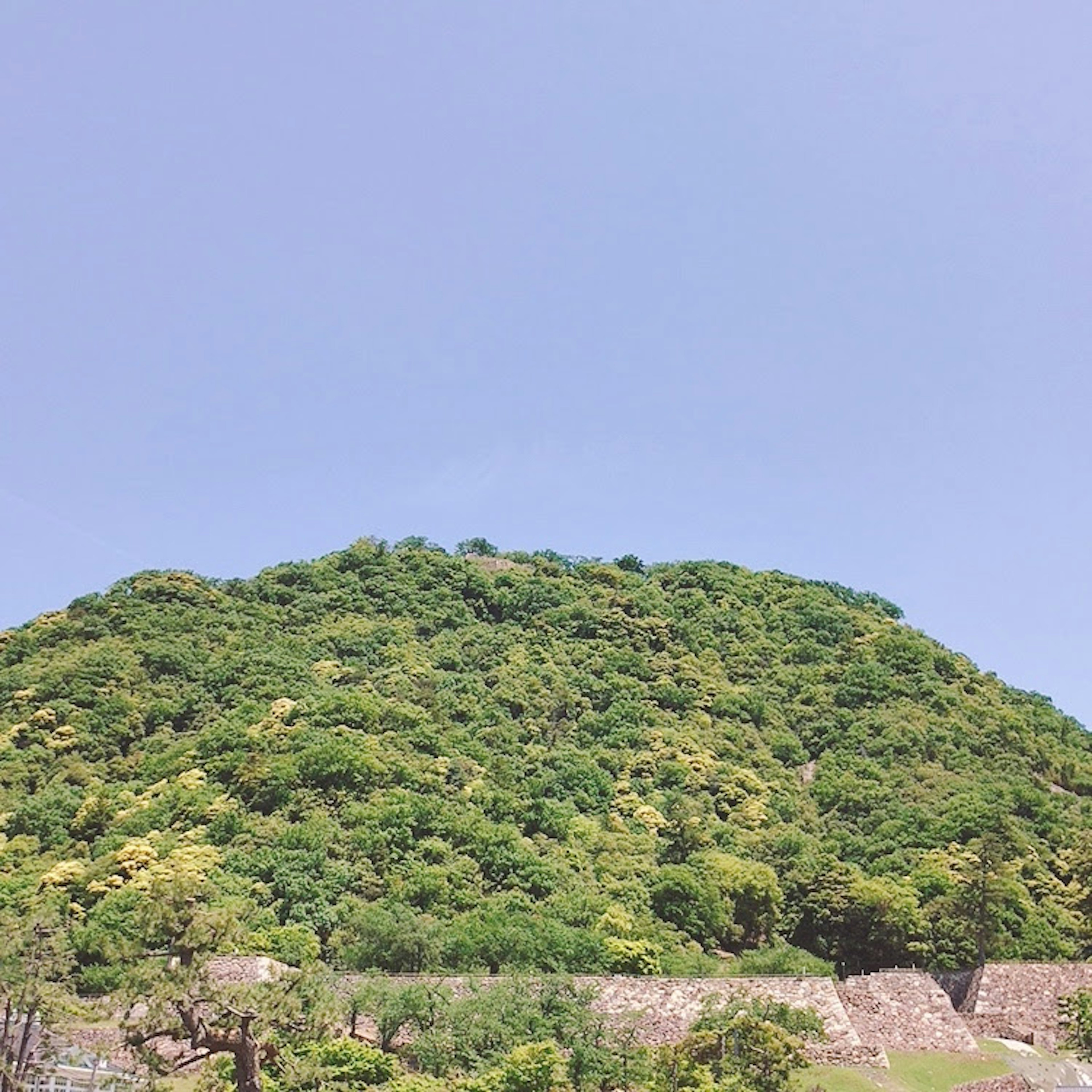 Collina verde lussureggiante sotto un cielo blu con un antico muro di pietra