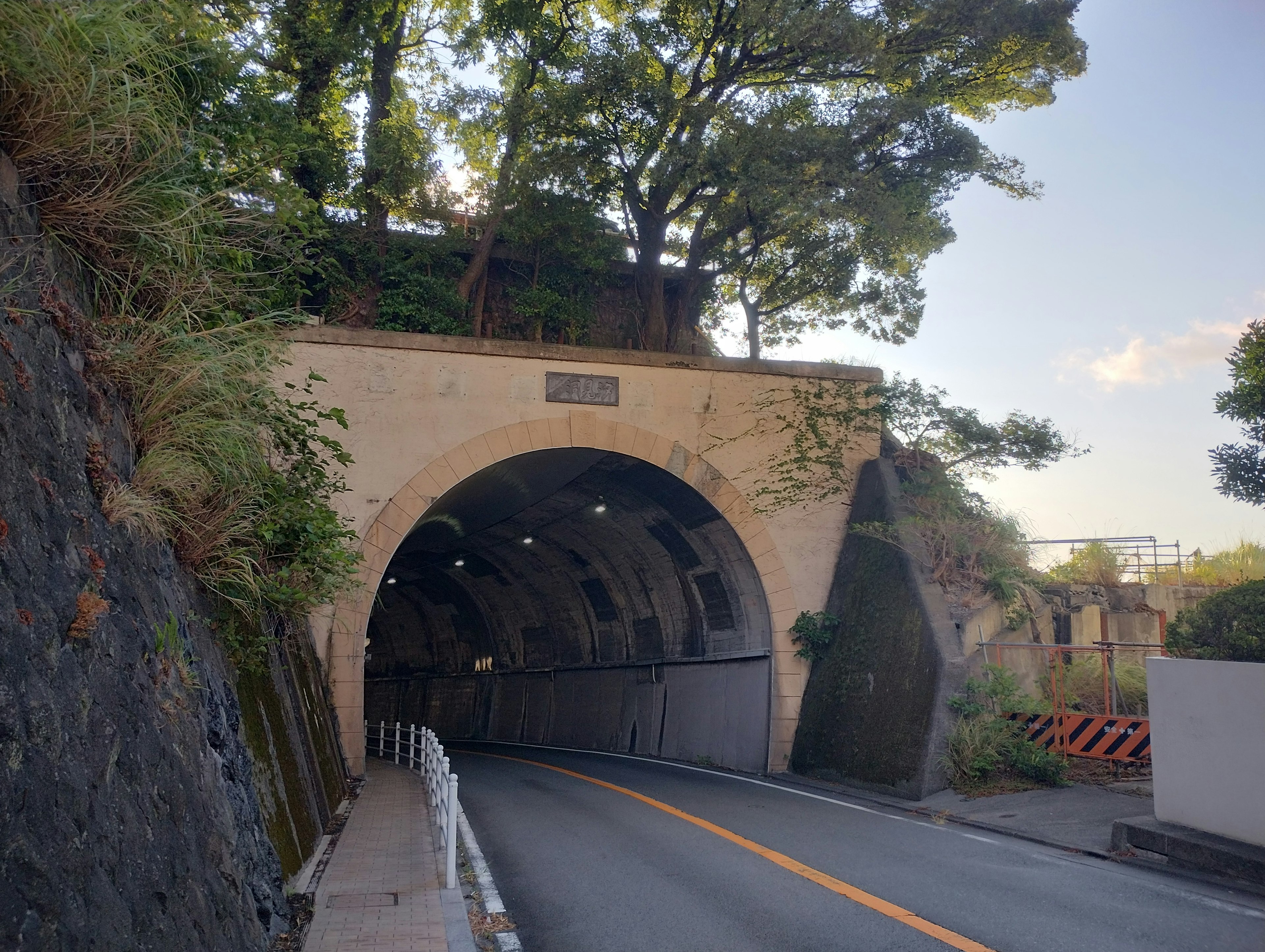 通向隧道入口的道路景观，上方有绿色植物