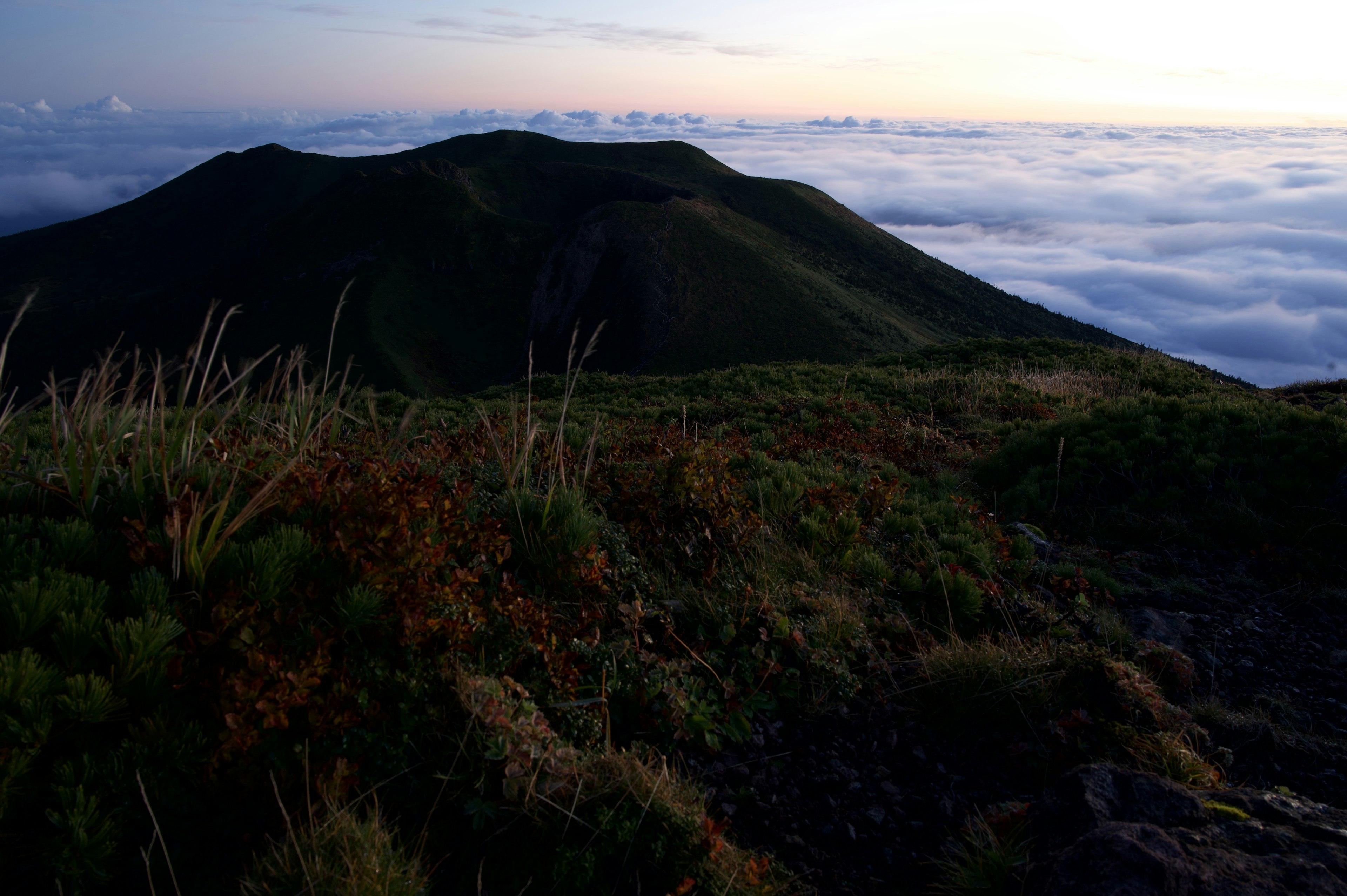 雲海の上にそびえる山の風景と草原の一部