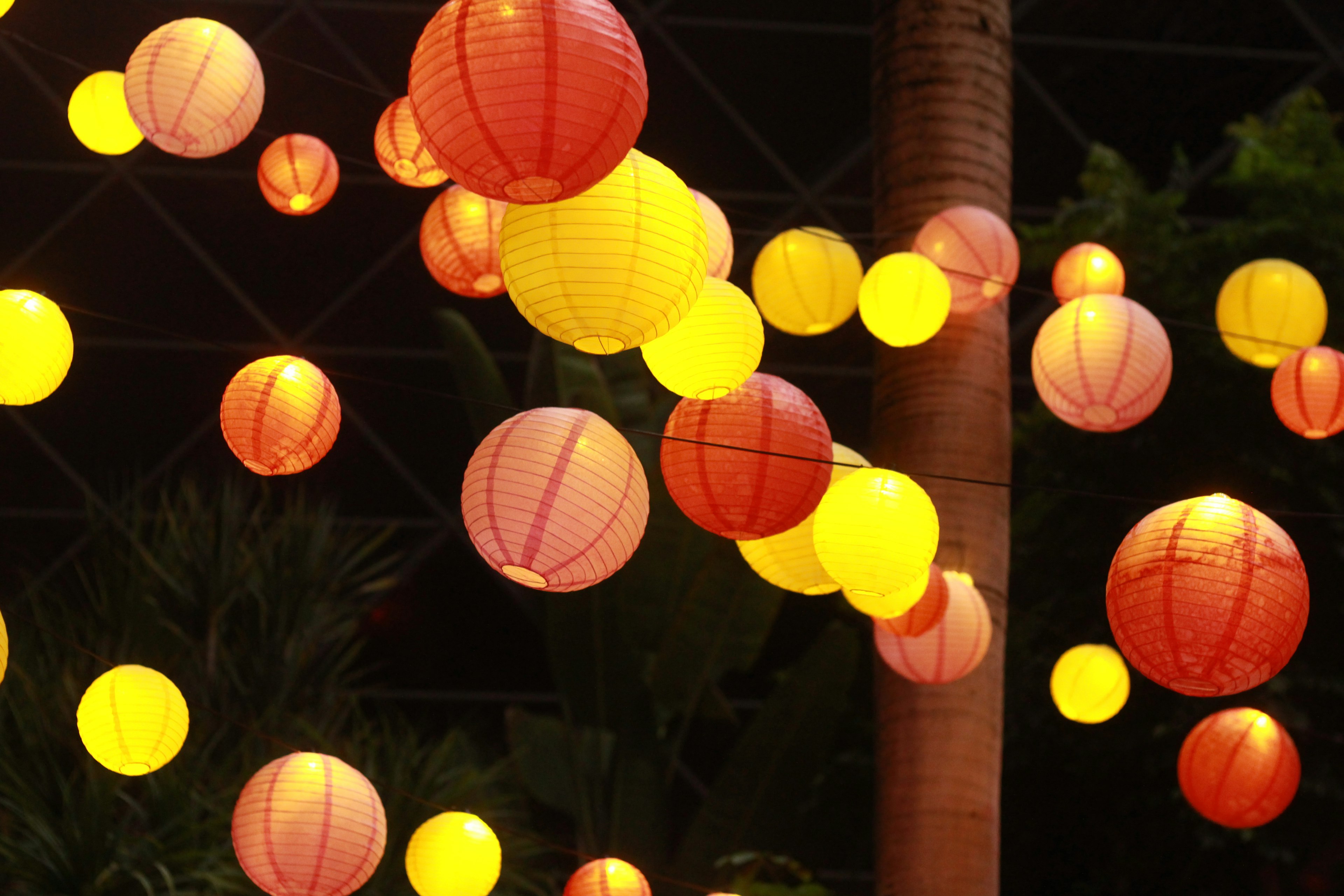 Colorful red and yellow lanterns suspended in the night sky