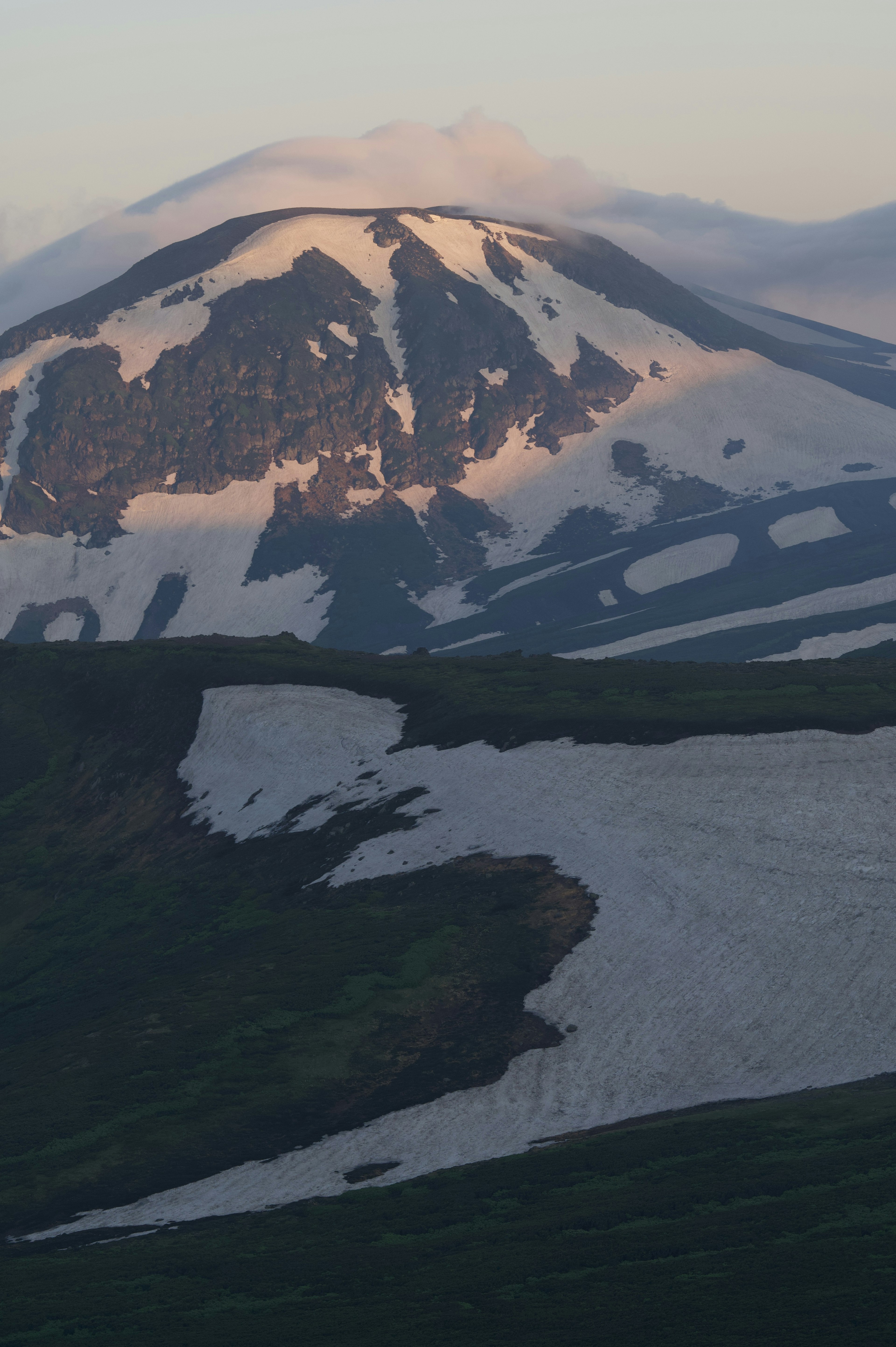 Montagne enneigée avec terrain herbeux