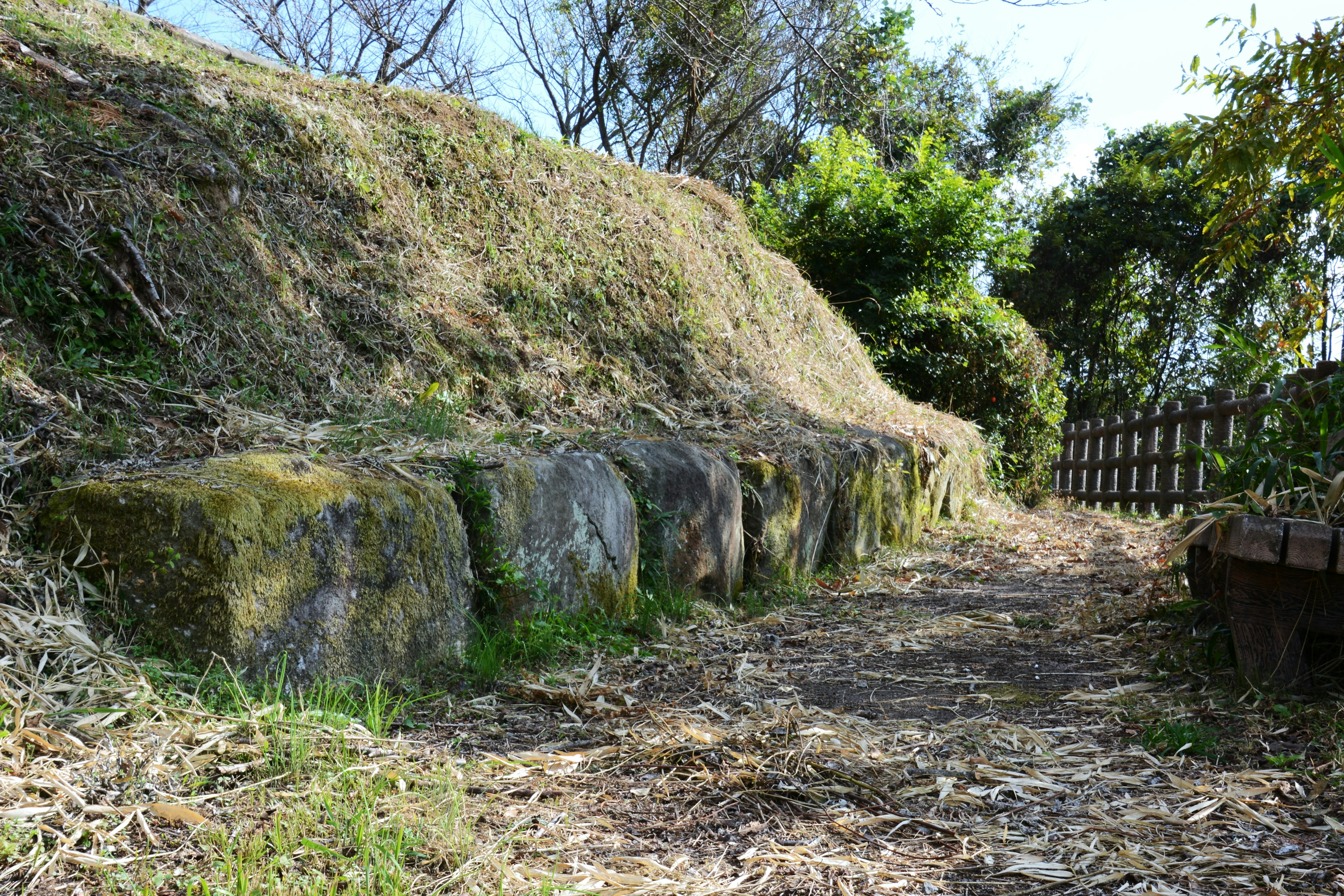 A natural path surrounded by moss-covered stones and greenery