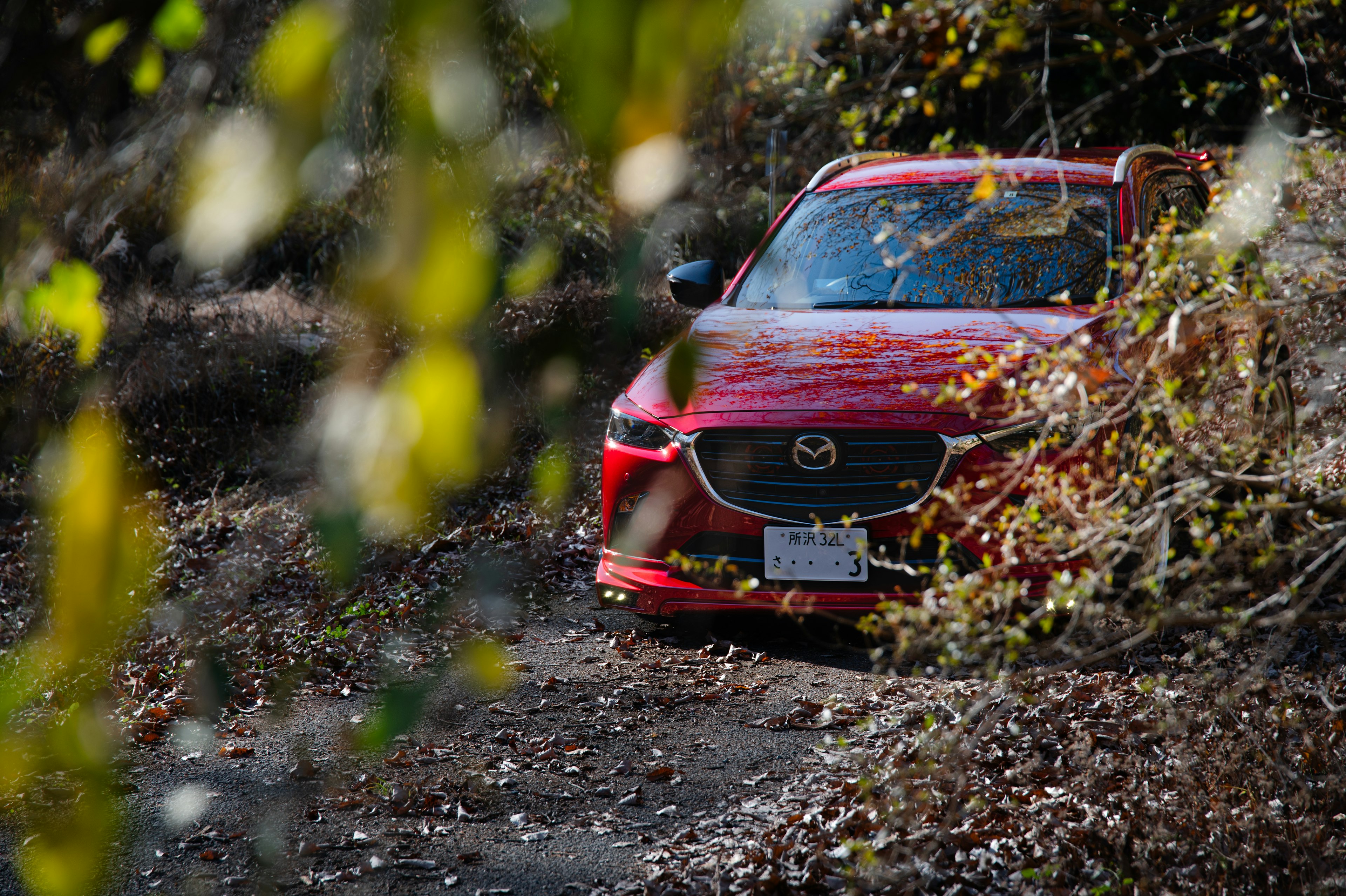 Ein rotes Mazda-Auto, das auf einem Waldweg geparkt ist, umgeben von Bäumen