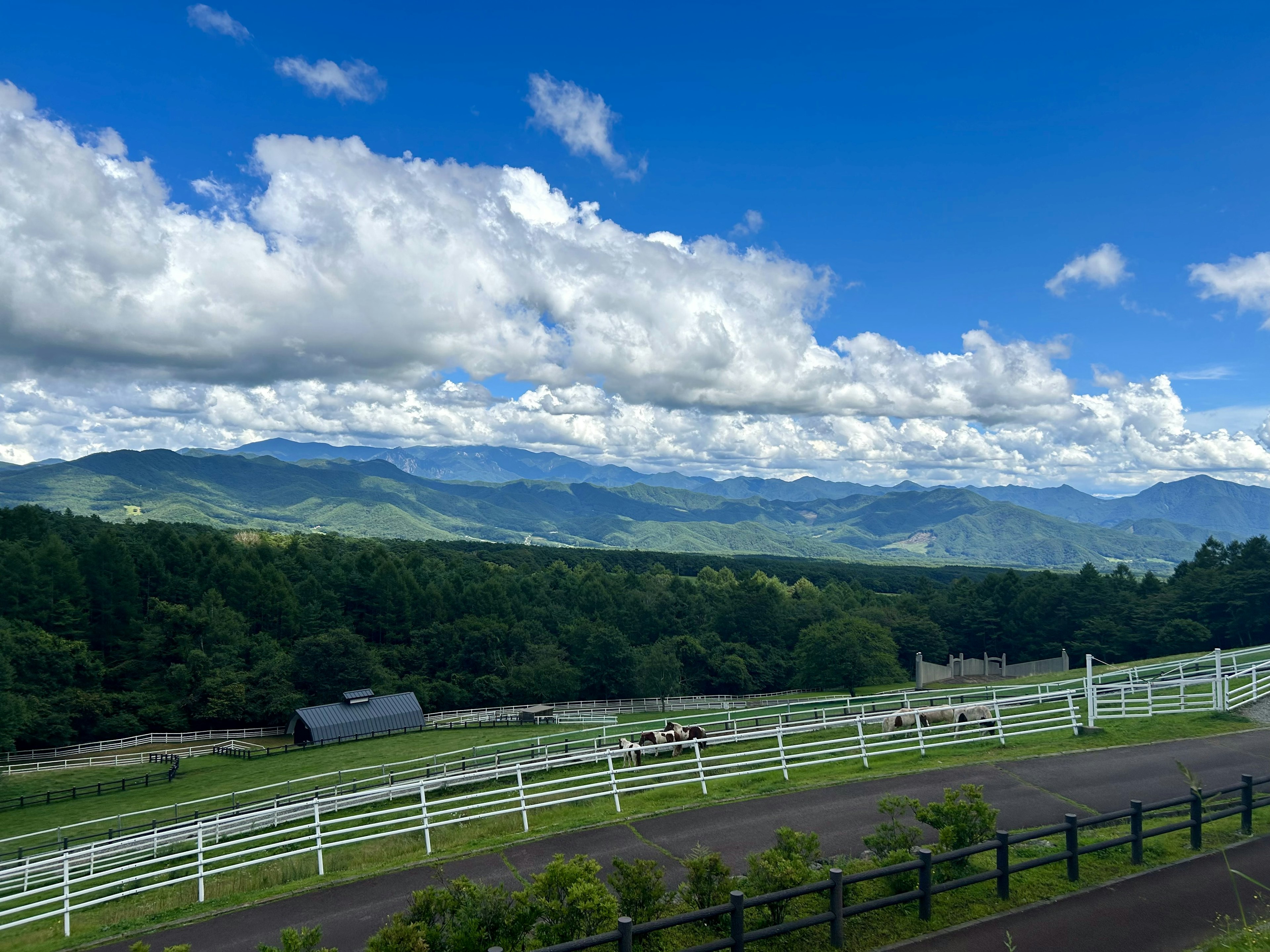 Scenic view of green mountains and a ranch under a blue sky with white clouds