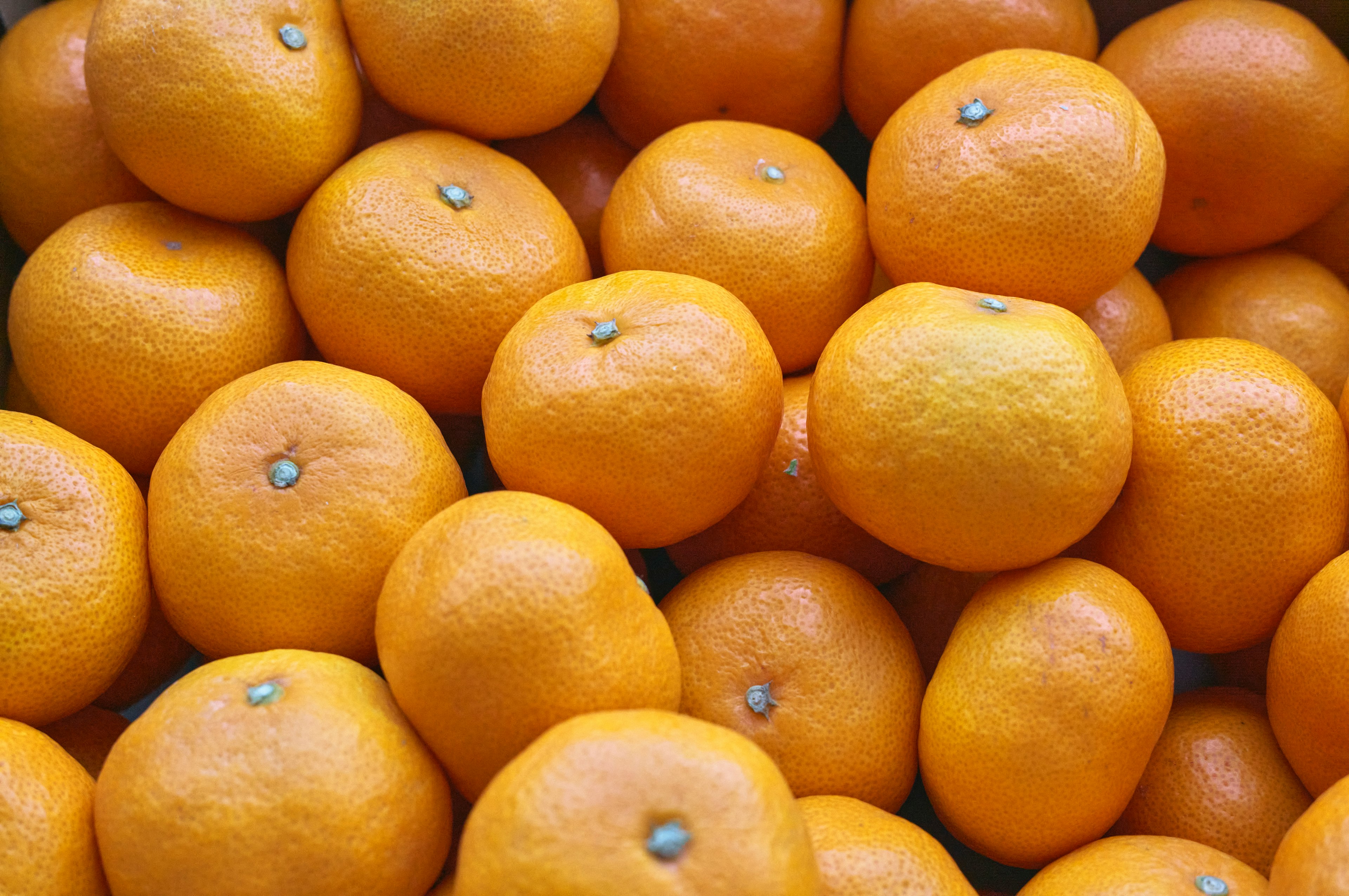 A close-up of a pile of bright orange oranges