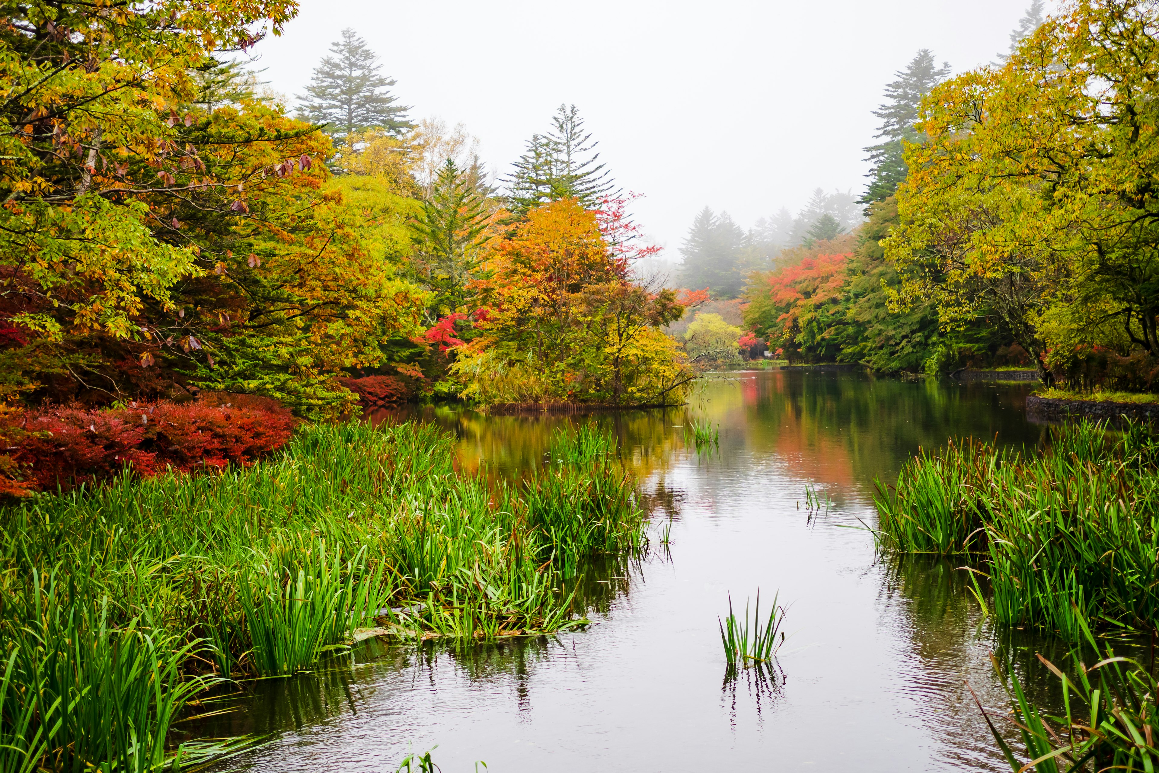 Nebeliger Herbstlandschaft mit bunten Bäumen, die sich im Wasser spiegeln