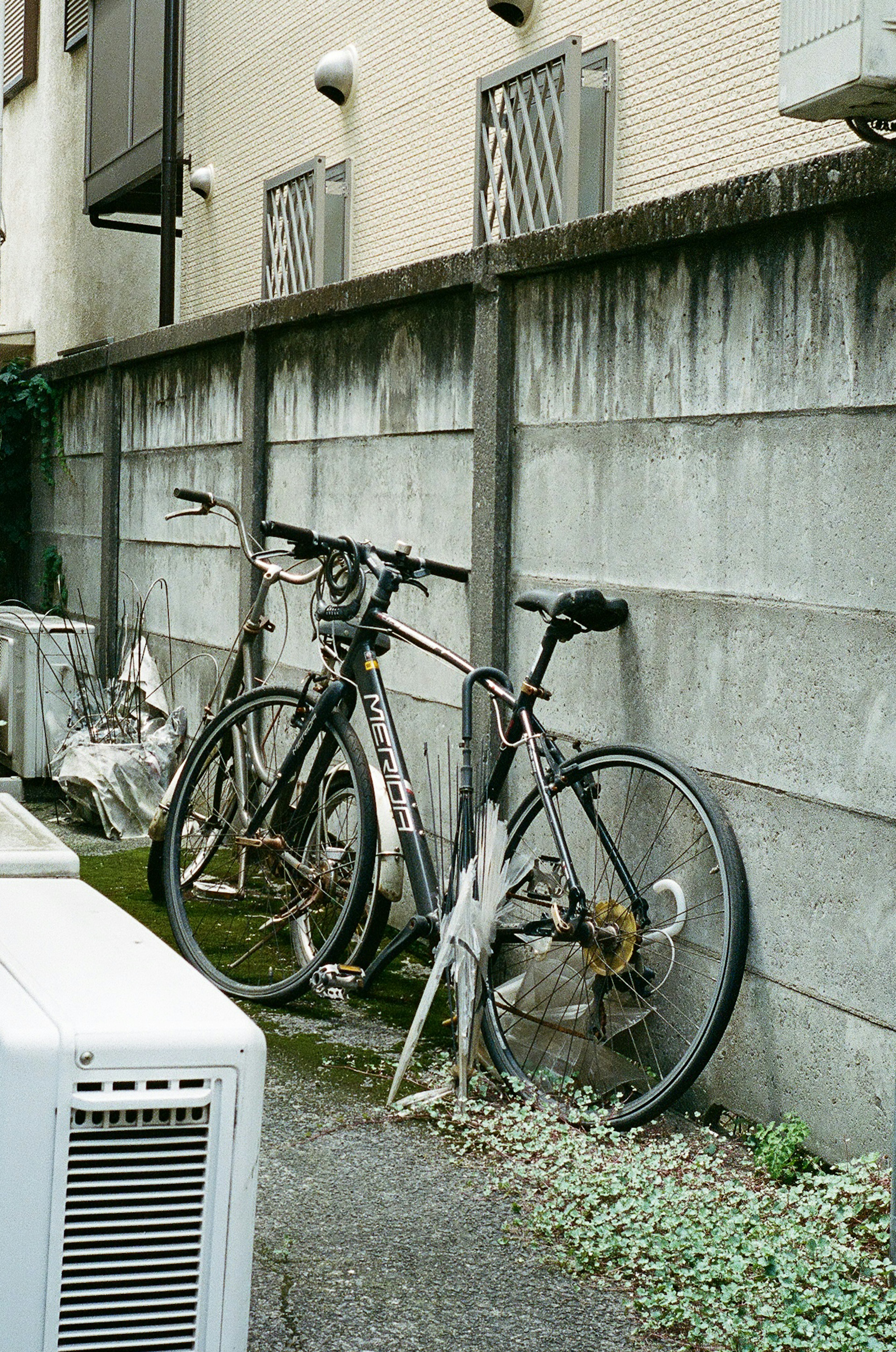 Dos bicicletas apoyadas contra una pared con vegetación circundante