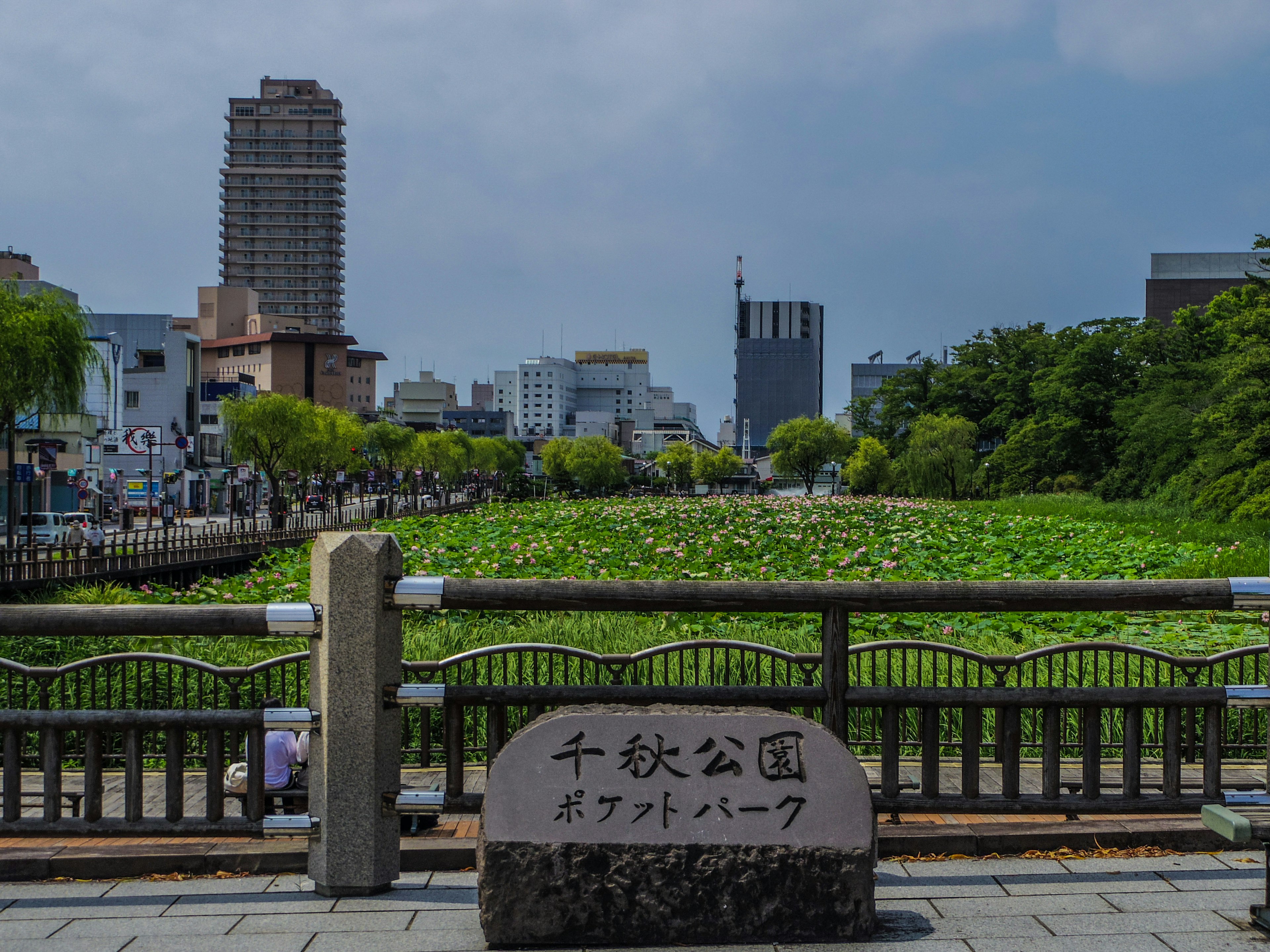 千反公園の看板と緑豊かな水辺の風景