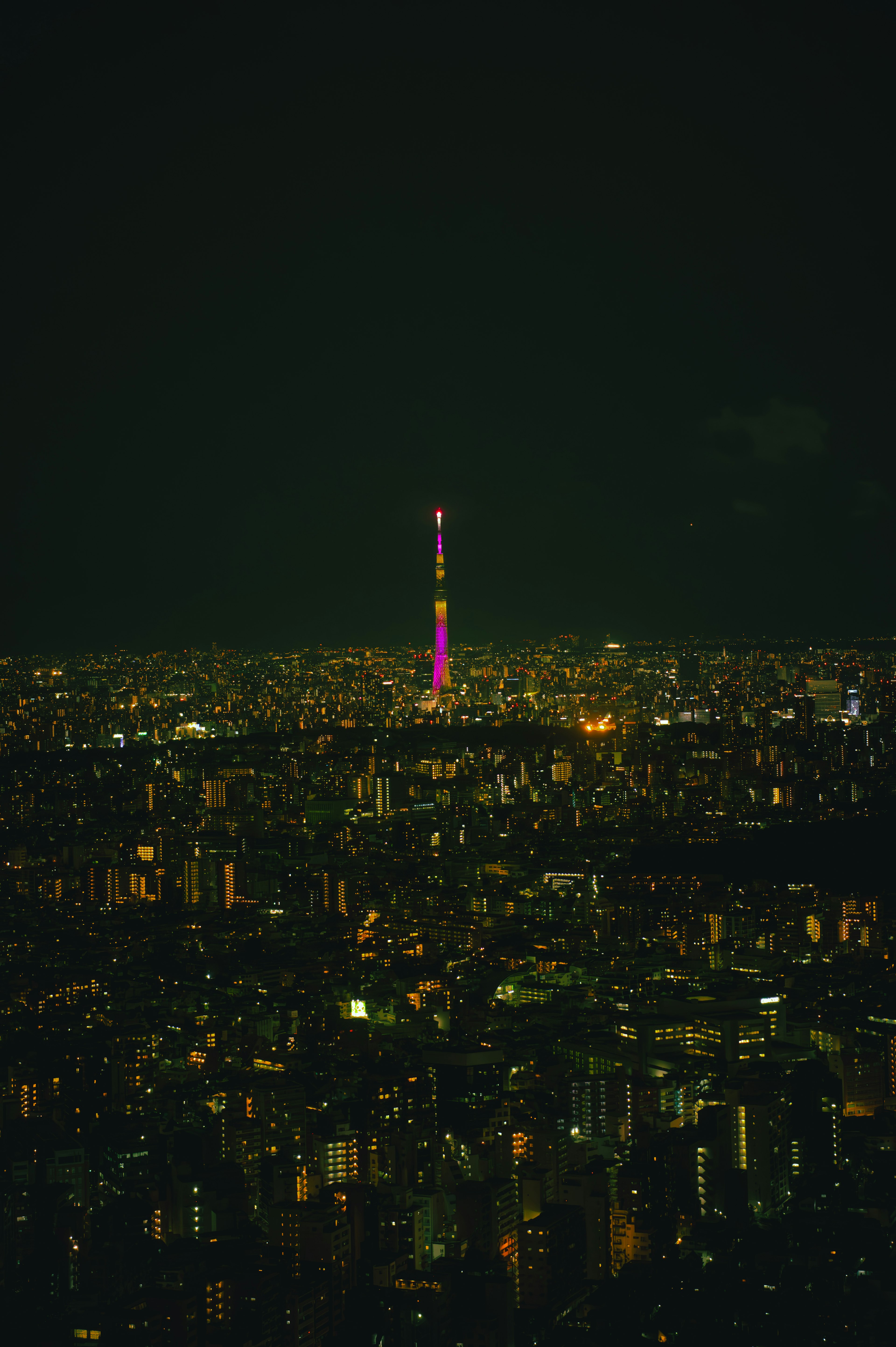 Tokyo Tower illuminated at night with a sprawling cityscape