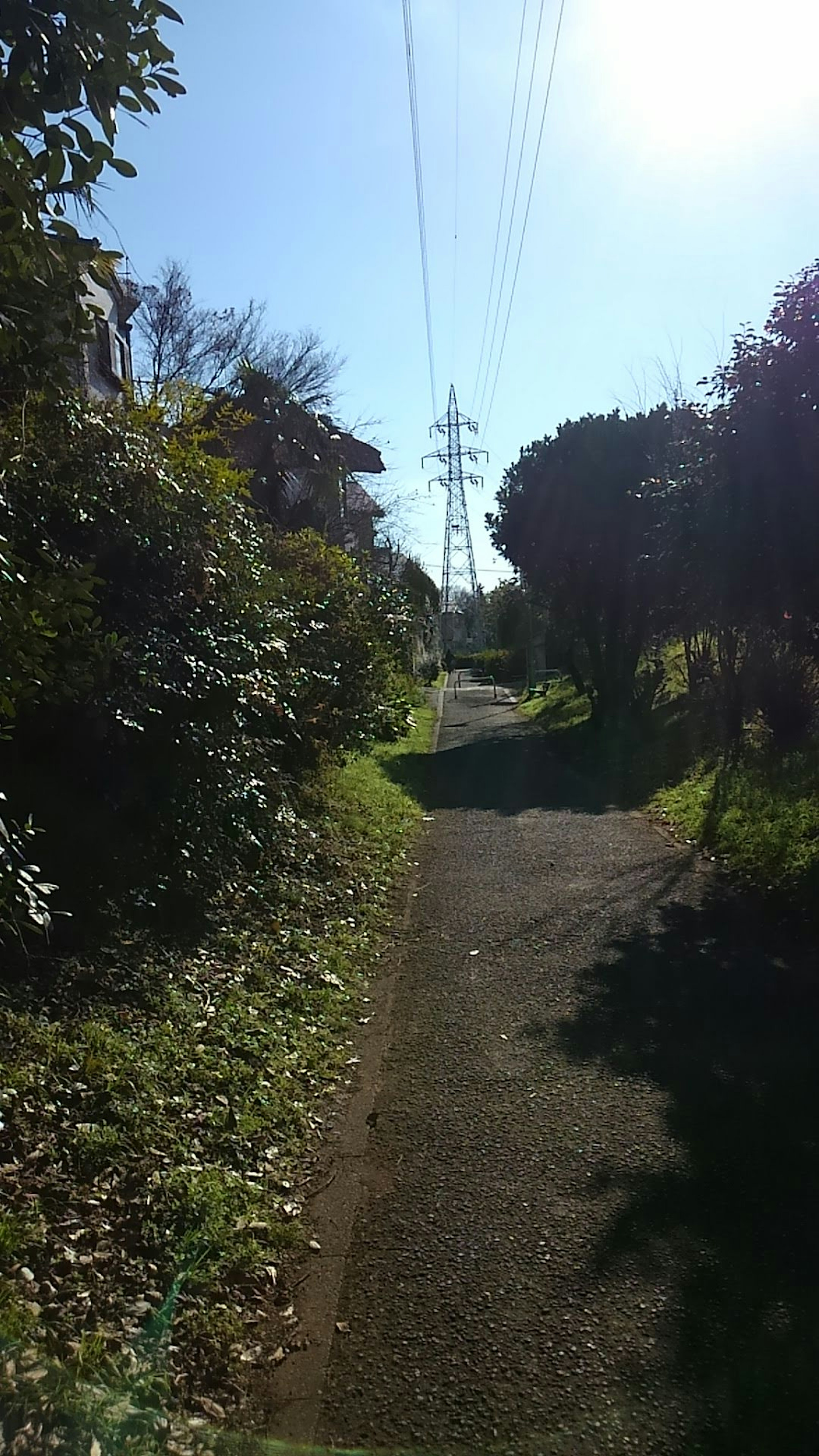 在晴朗藍天下被綠色環繞的小路和電杆的風景