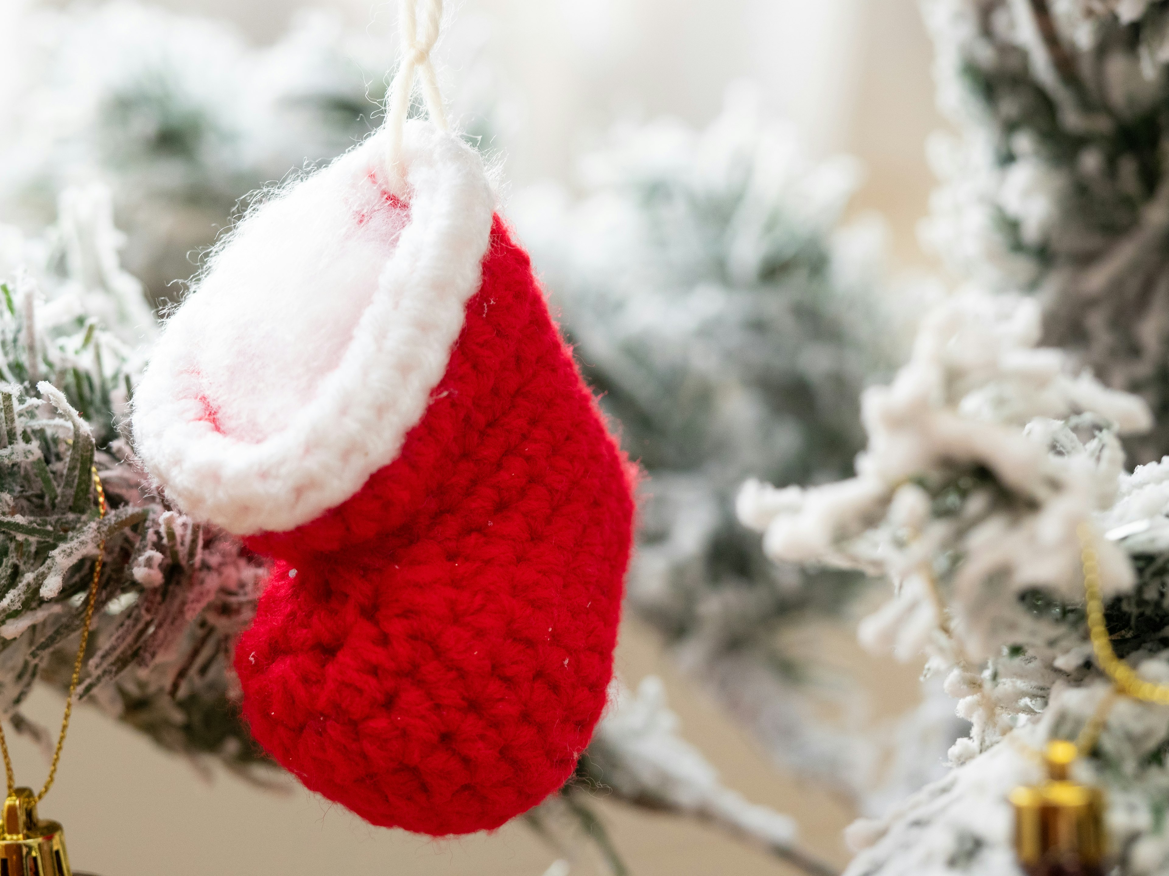 Red Christmas stocking hanging on a snowy branch