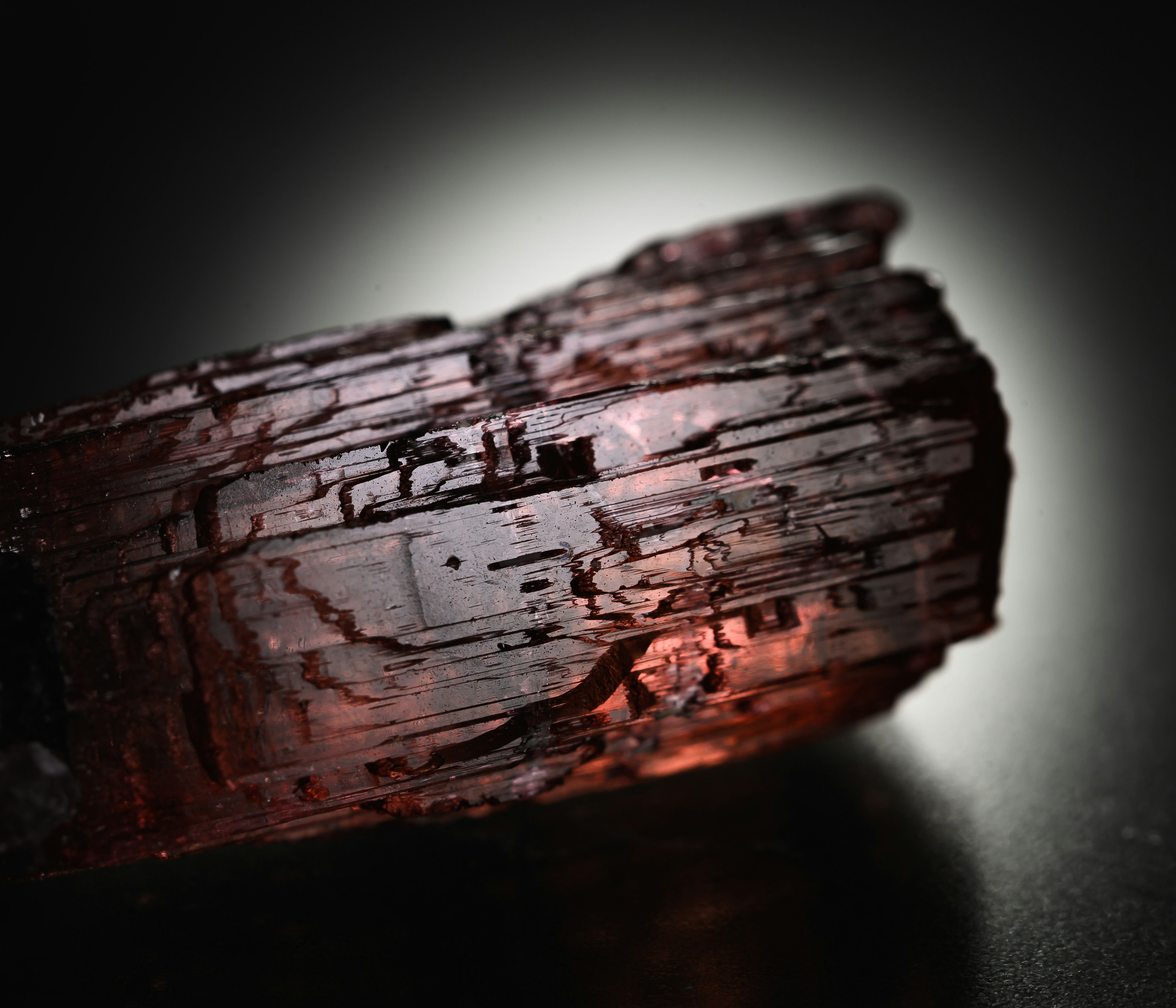 Gros plan d'un cristal de tourmaline rouge mettant en valeur sa surface brillante et sa texture unique