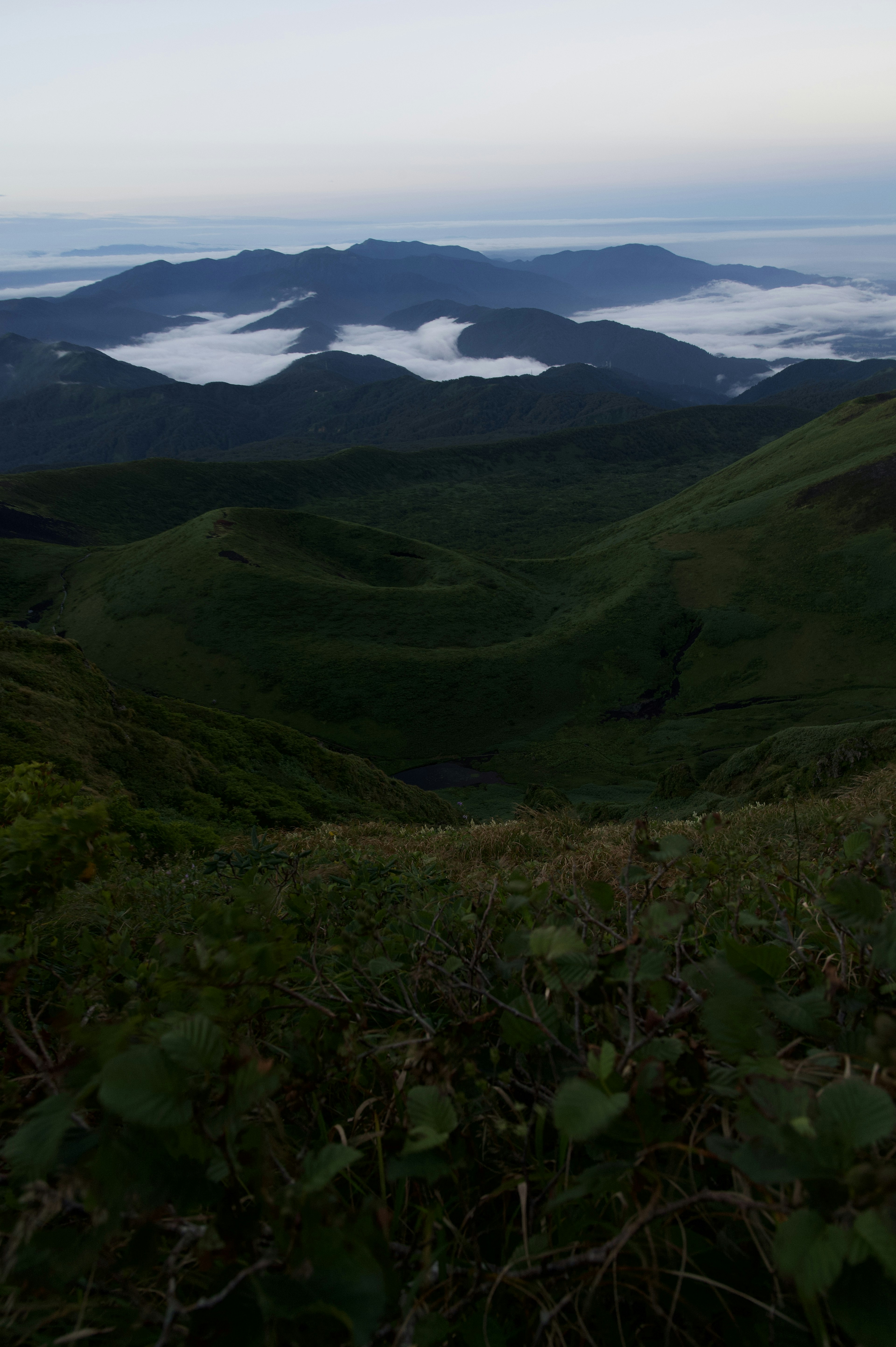 Montagnes verdoyantes avec une belle mer de nuages