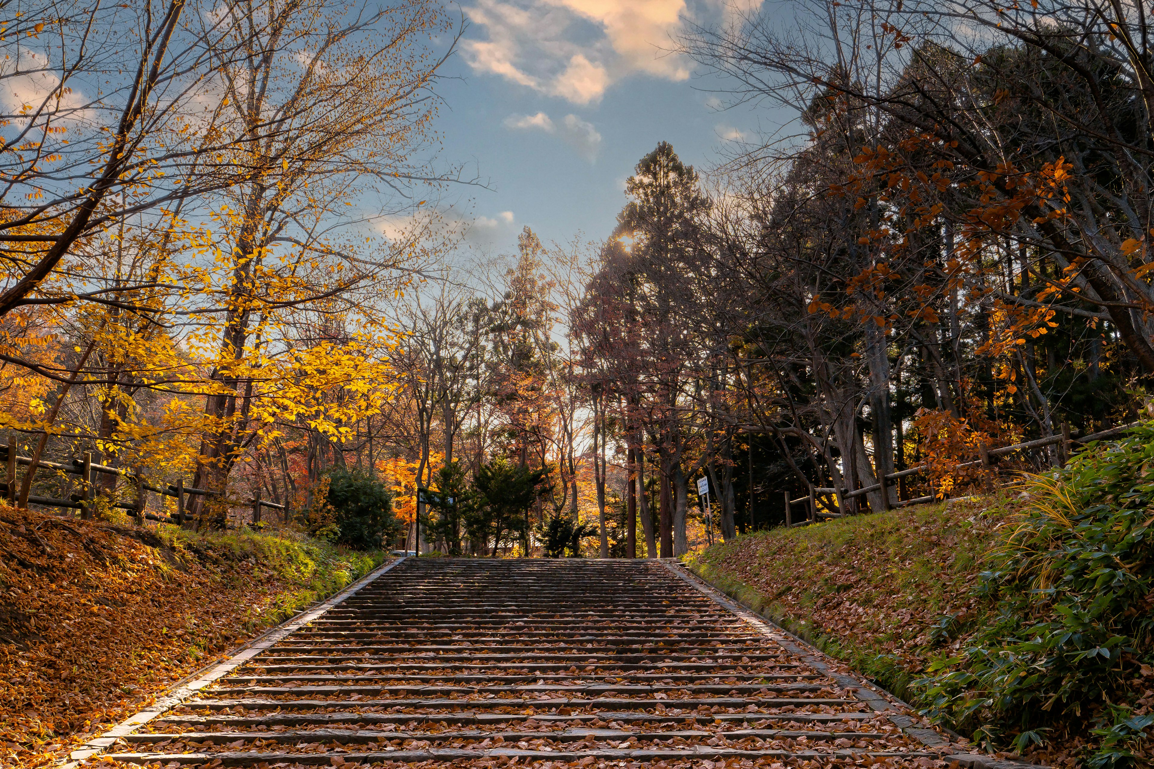 Staircase surrounded by autumn trees and blue sky