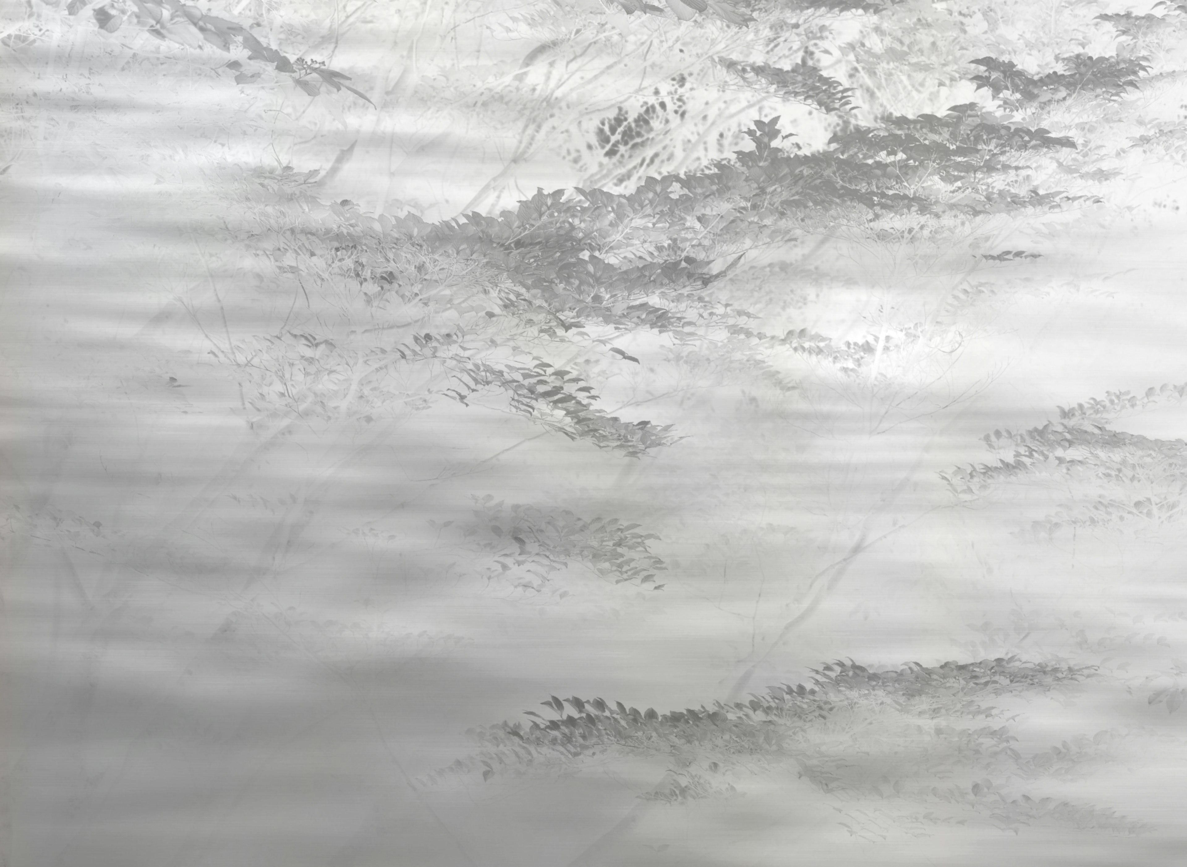 Ruhige Landschaft mit Wolkenmustern, die sich auf einer monochromen Wasseroberfläche spiegeln