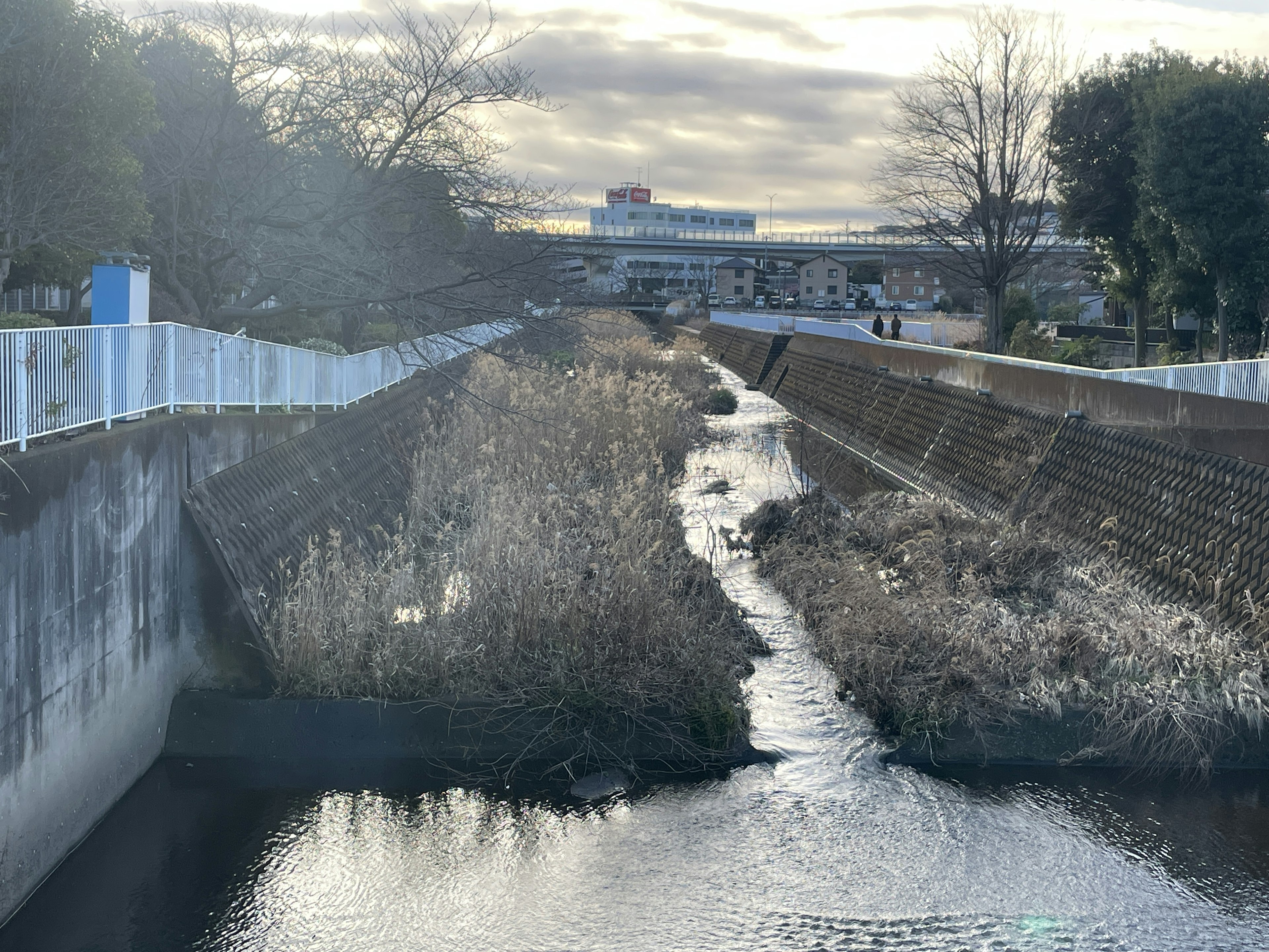 A view of a narrow stream with overgrown banks and cloudy skies