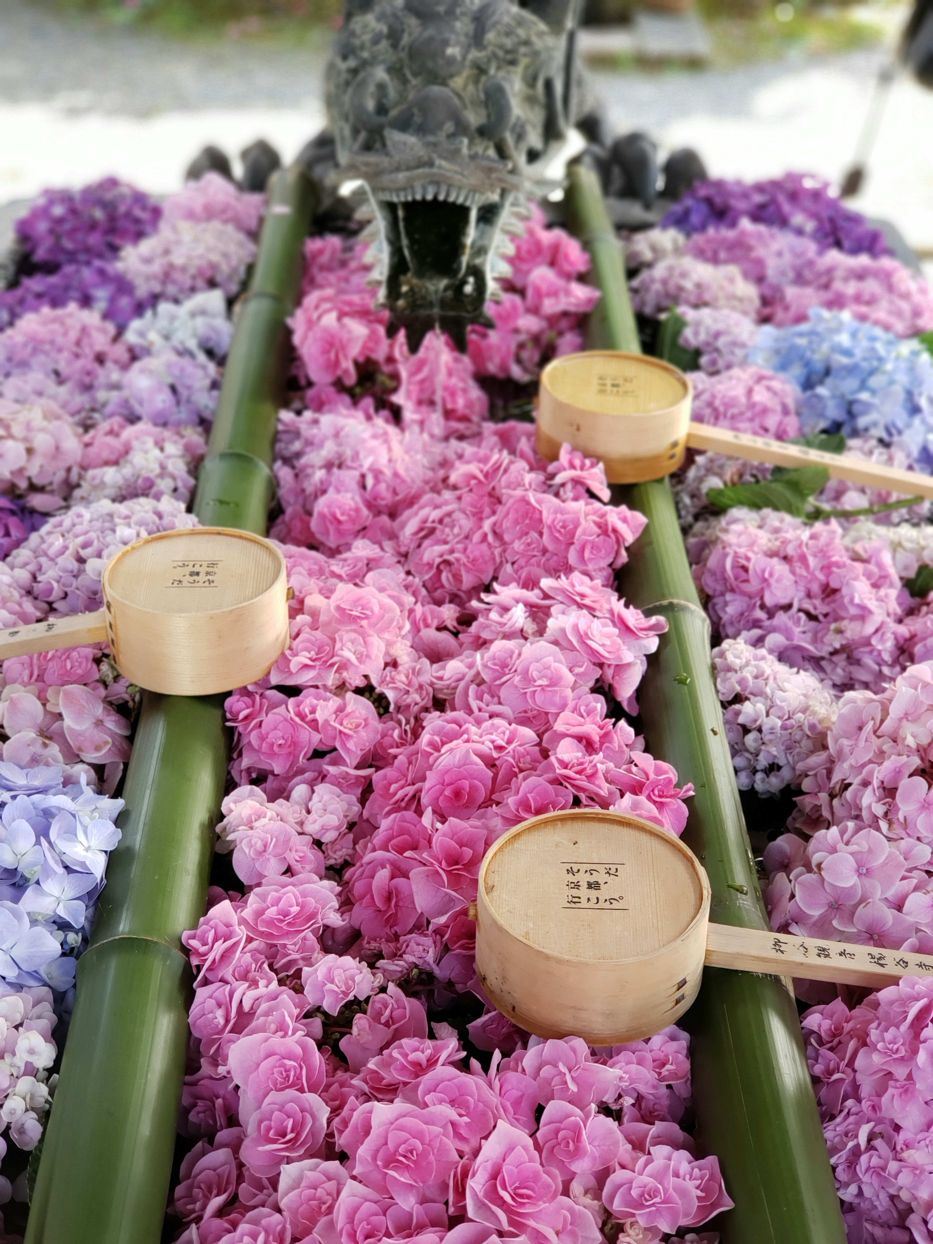 Flores coloridas dispuestas sobre bambú con cuencos de madera encima