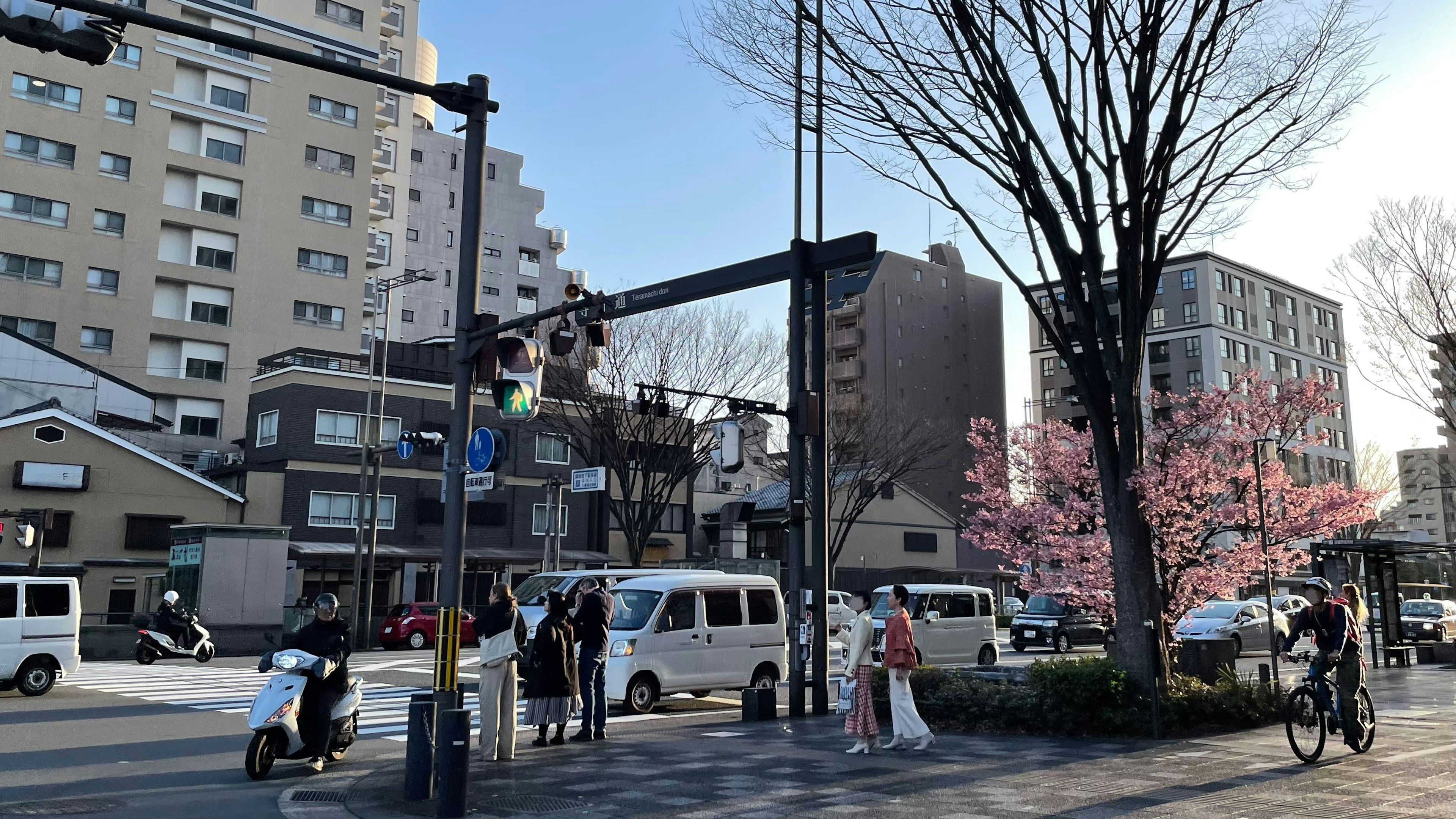 Spring scene at a street corner with blooming cherry blossoms and pedestrians