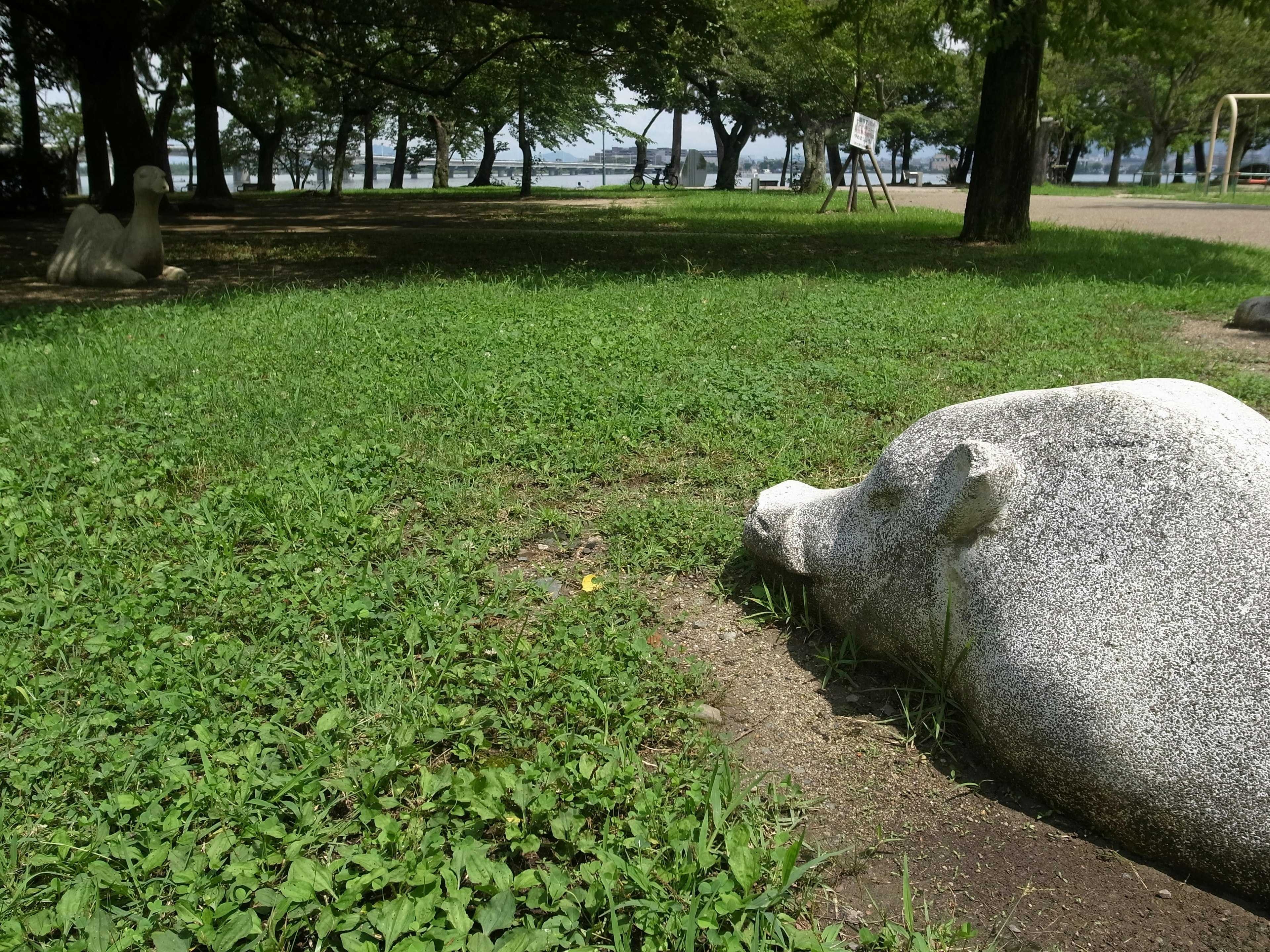 公園綠草地上躺著的石頭豬雕塑