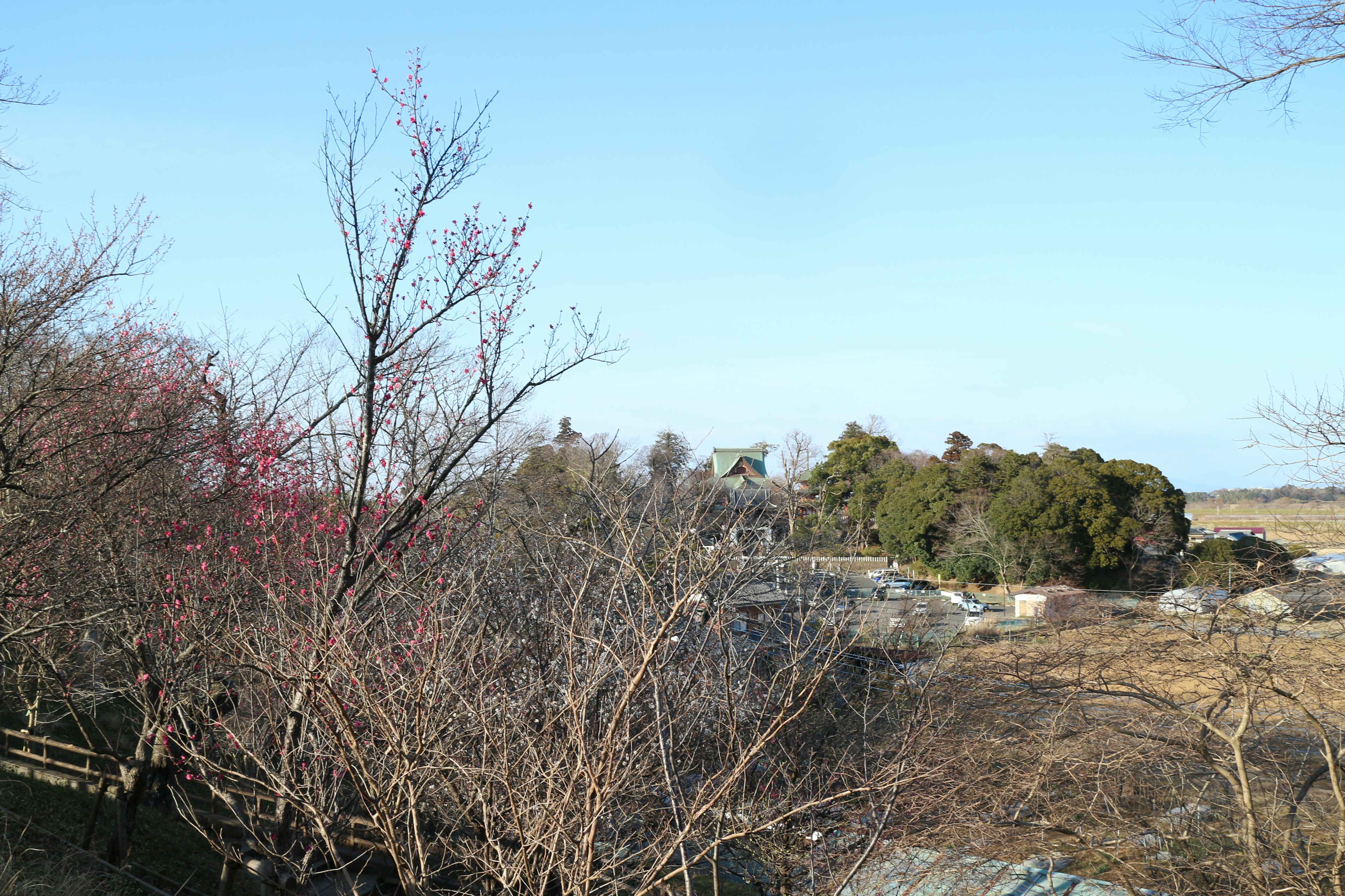 Winter landscape featuring trees and a blue sky