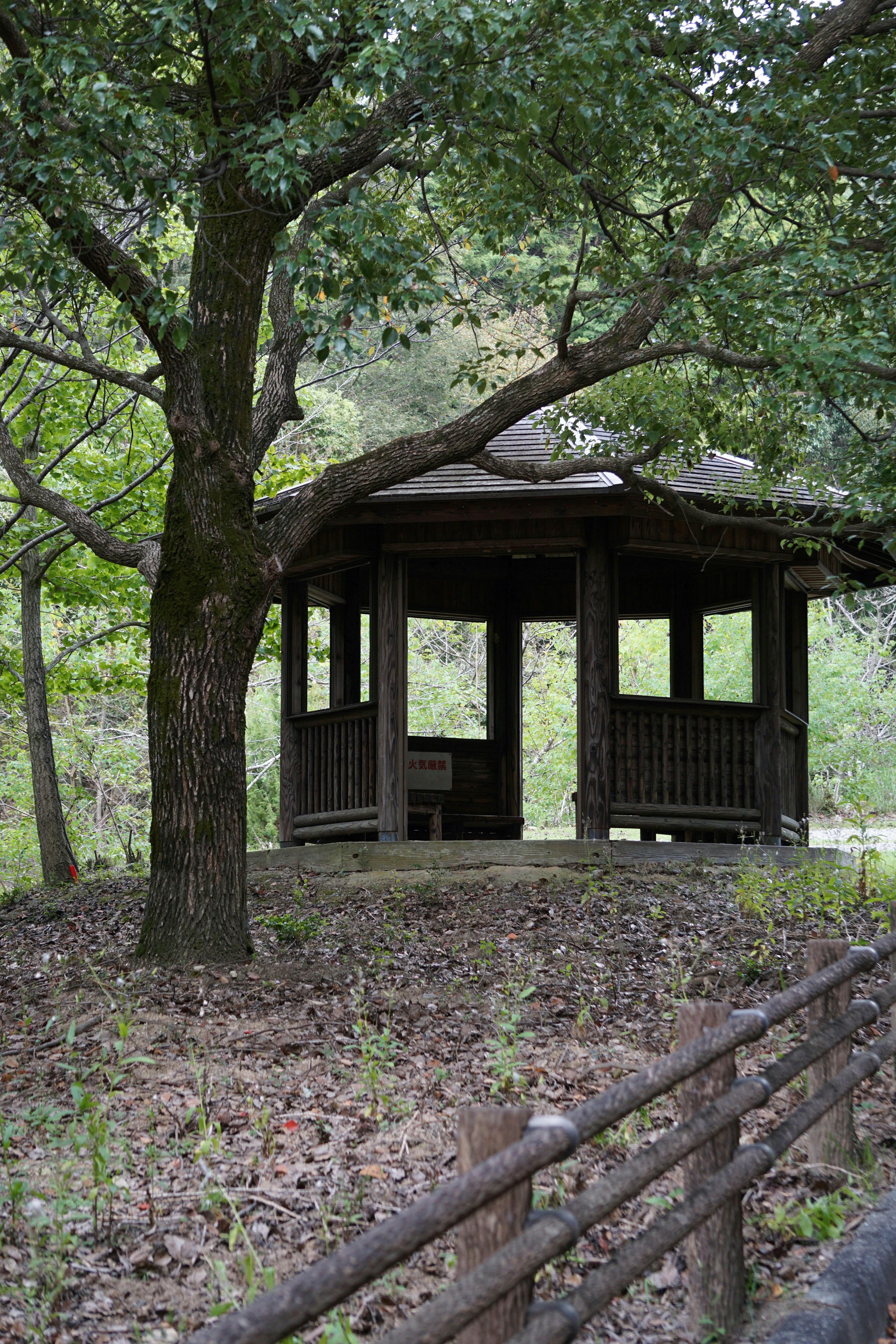 Petit pavillon entouré d'arbres dans un cadre naturel paisible