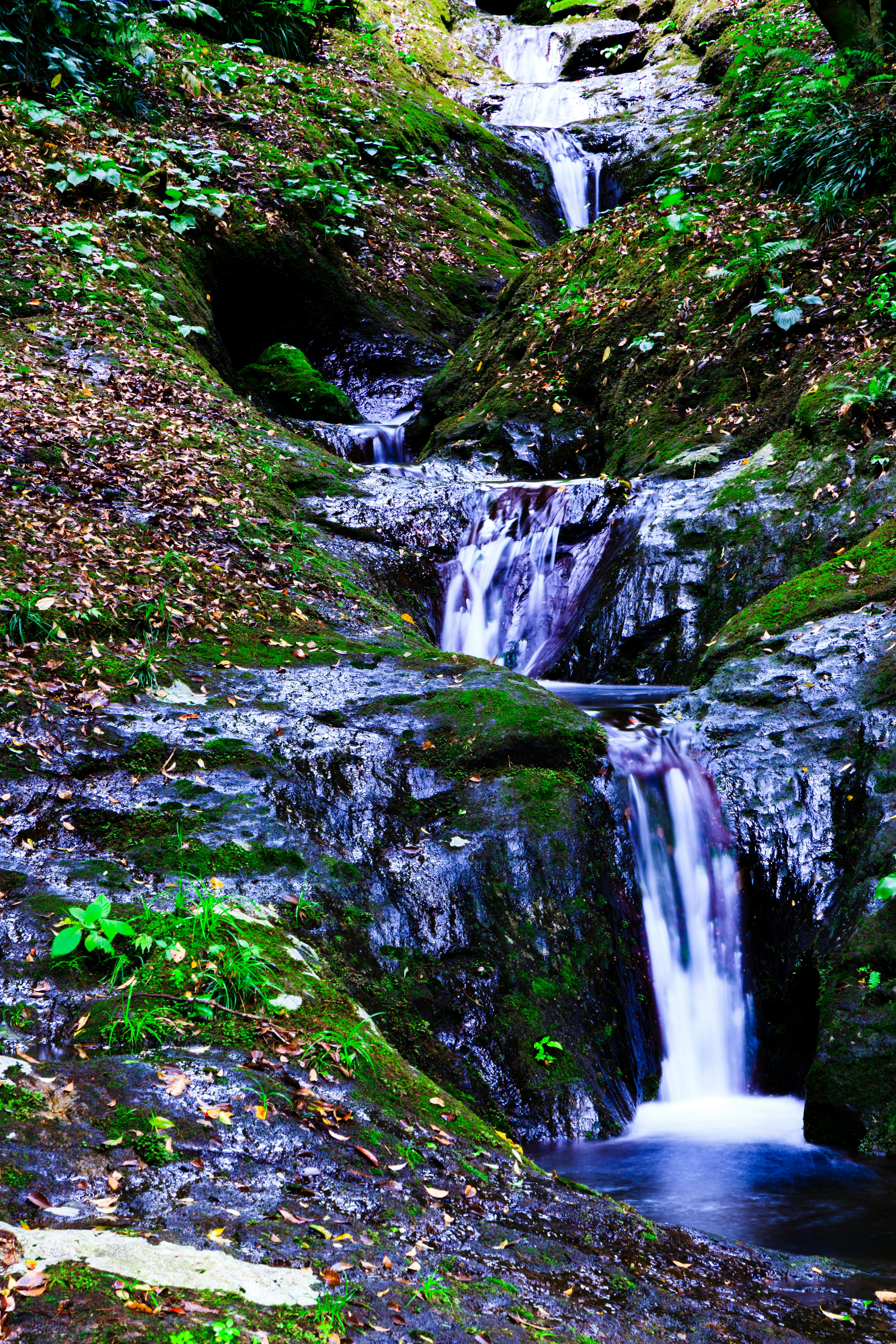 Pemandangan air terjun yang indah dengan aliran dikelilingi lumut hijau