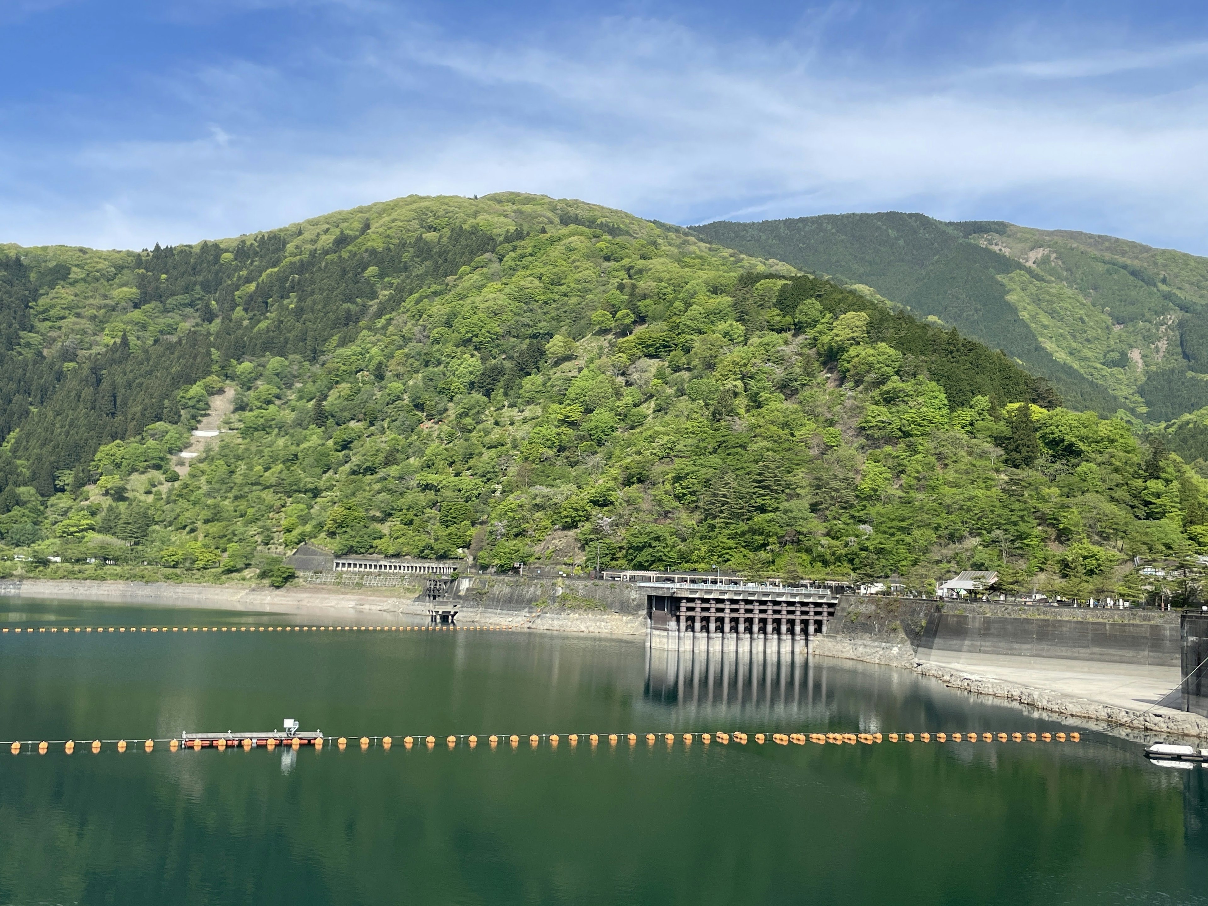 緑に覆われた丘と穏やかな水面を持つダムの景色