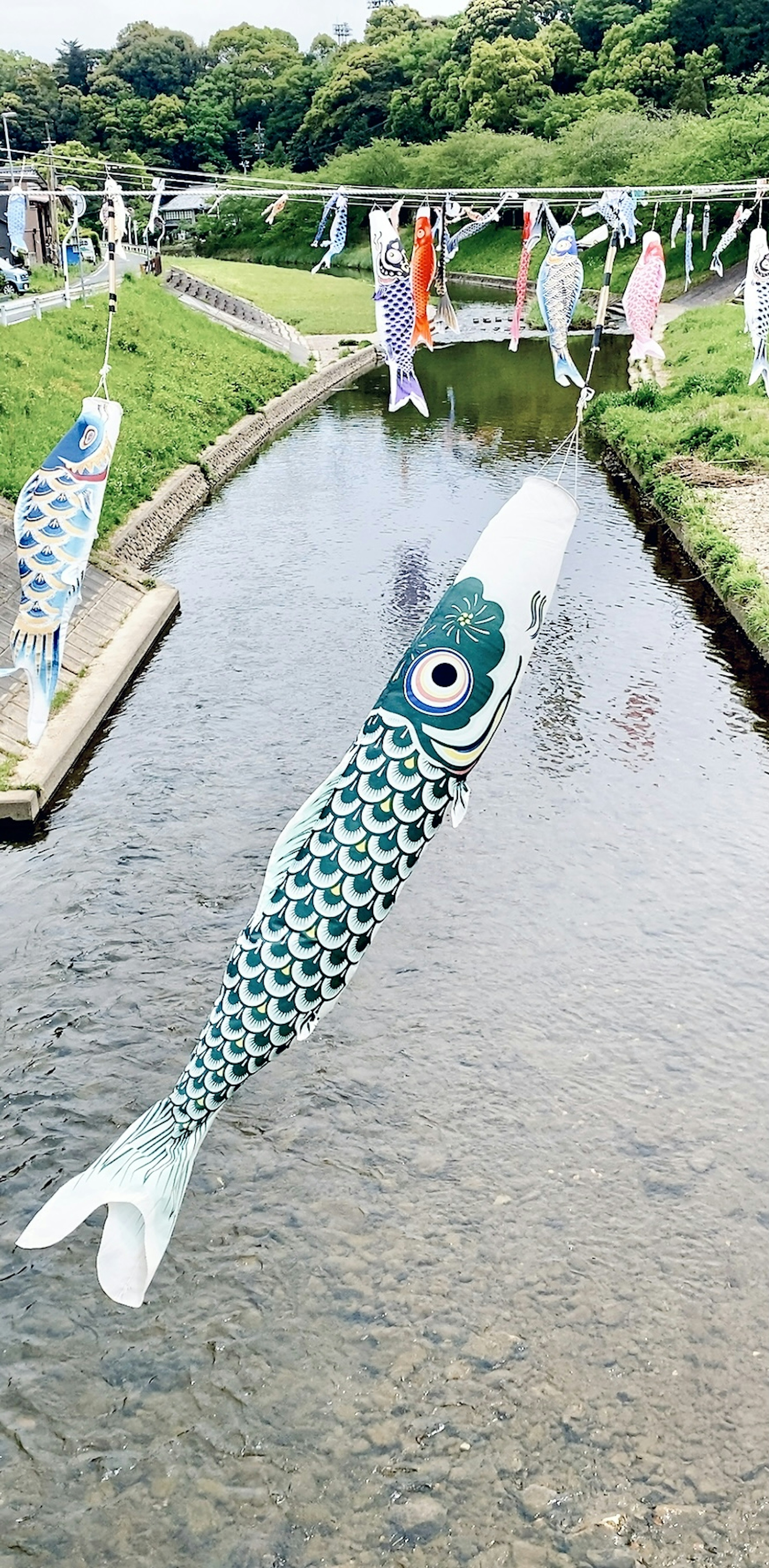 Koinobori tergantung di atas sungai dengan orang-orang di dekatnya