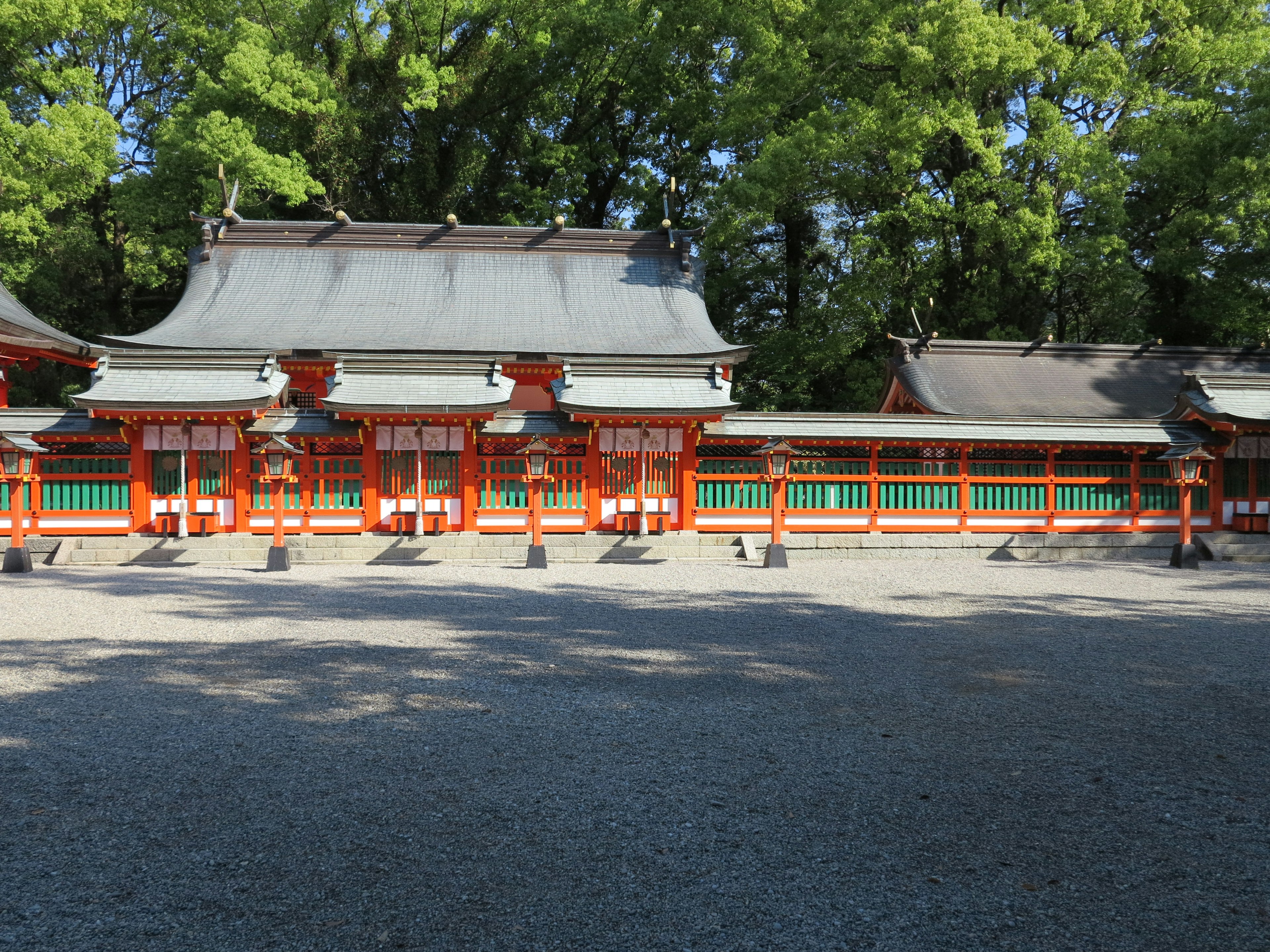 风景如画的神社，传统建筑被郁郁葱葱的绿树环绕