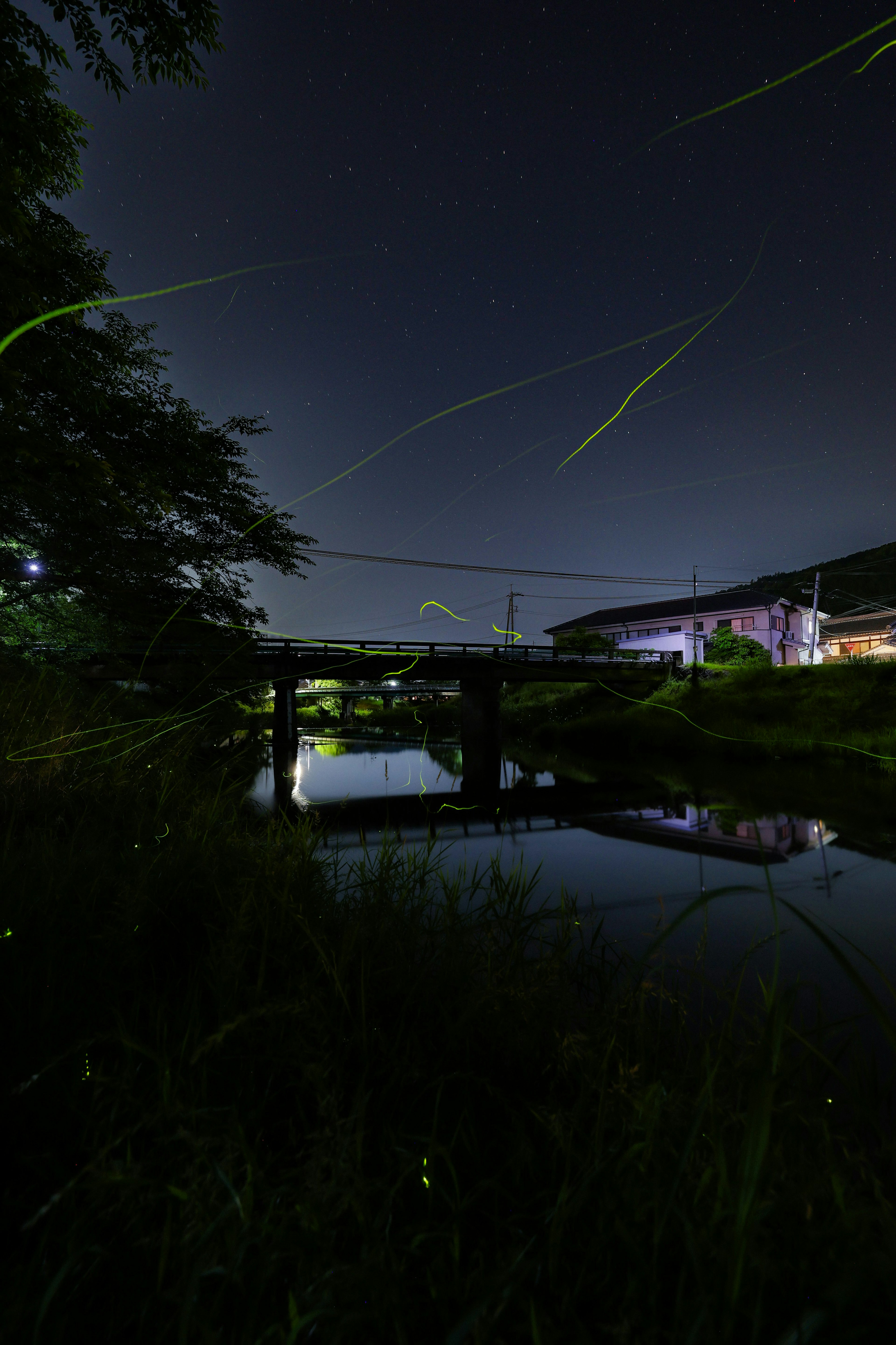 夜景中萤火虫在平静的河流上方闪烁，桥梁被绿树环绕