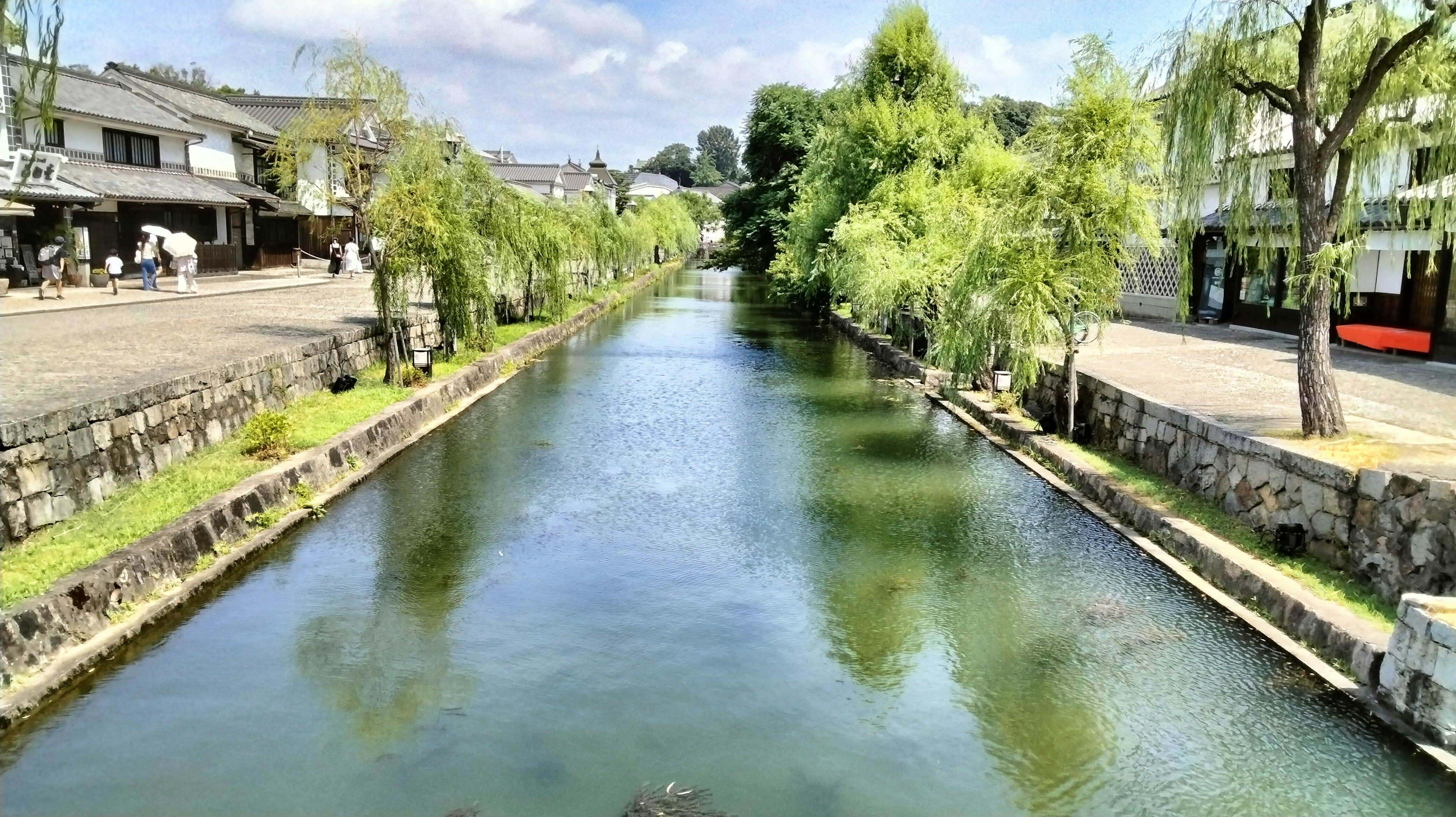 Serene river lined with green trees