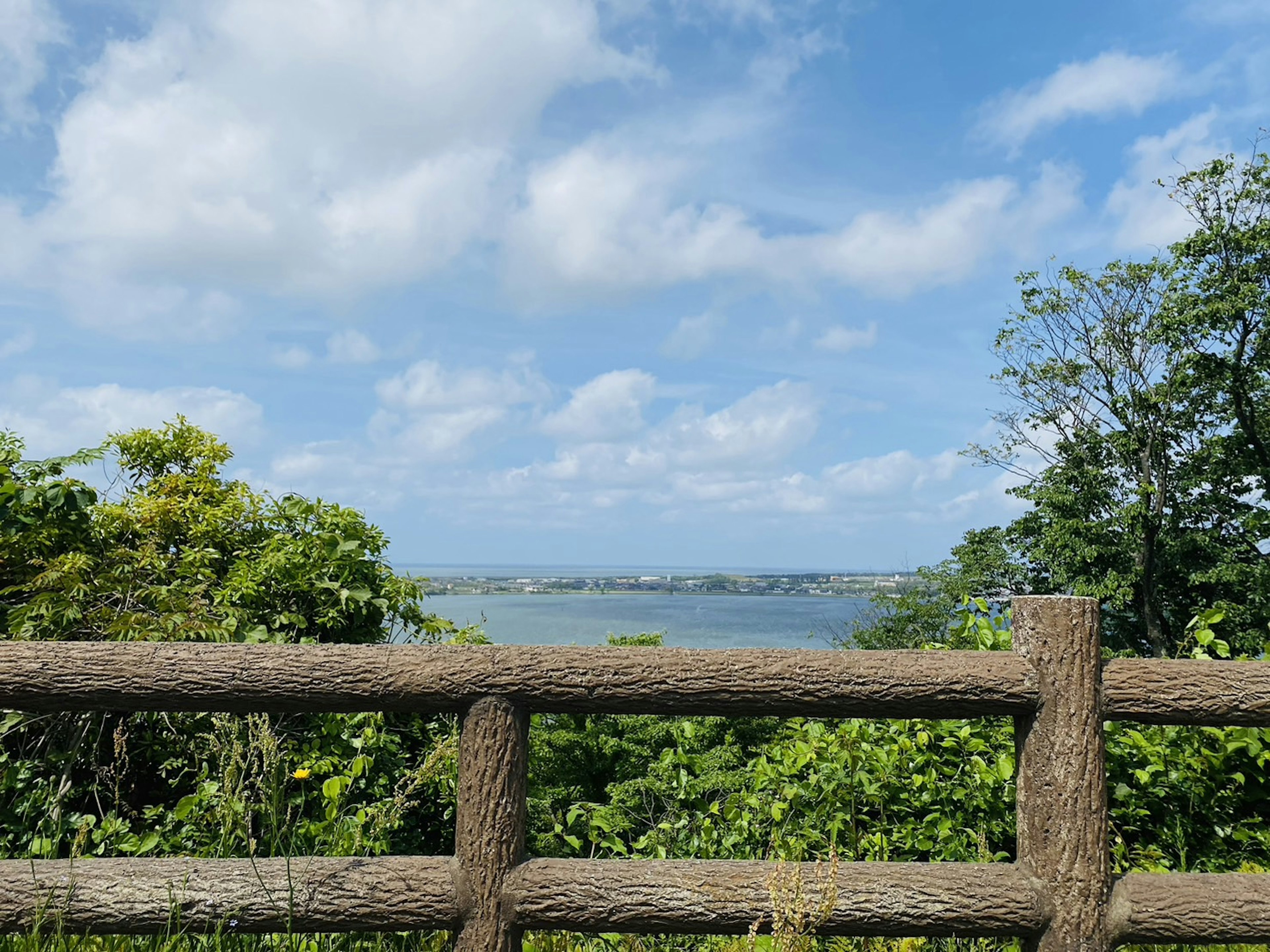 Vue pittoresque d'un lac avec ciel bleu et arbres verts