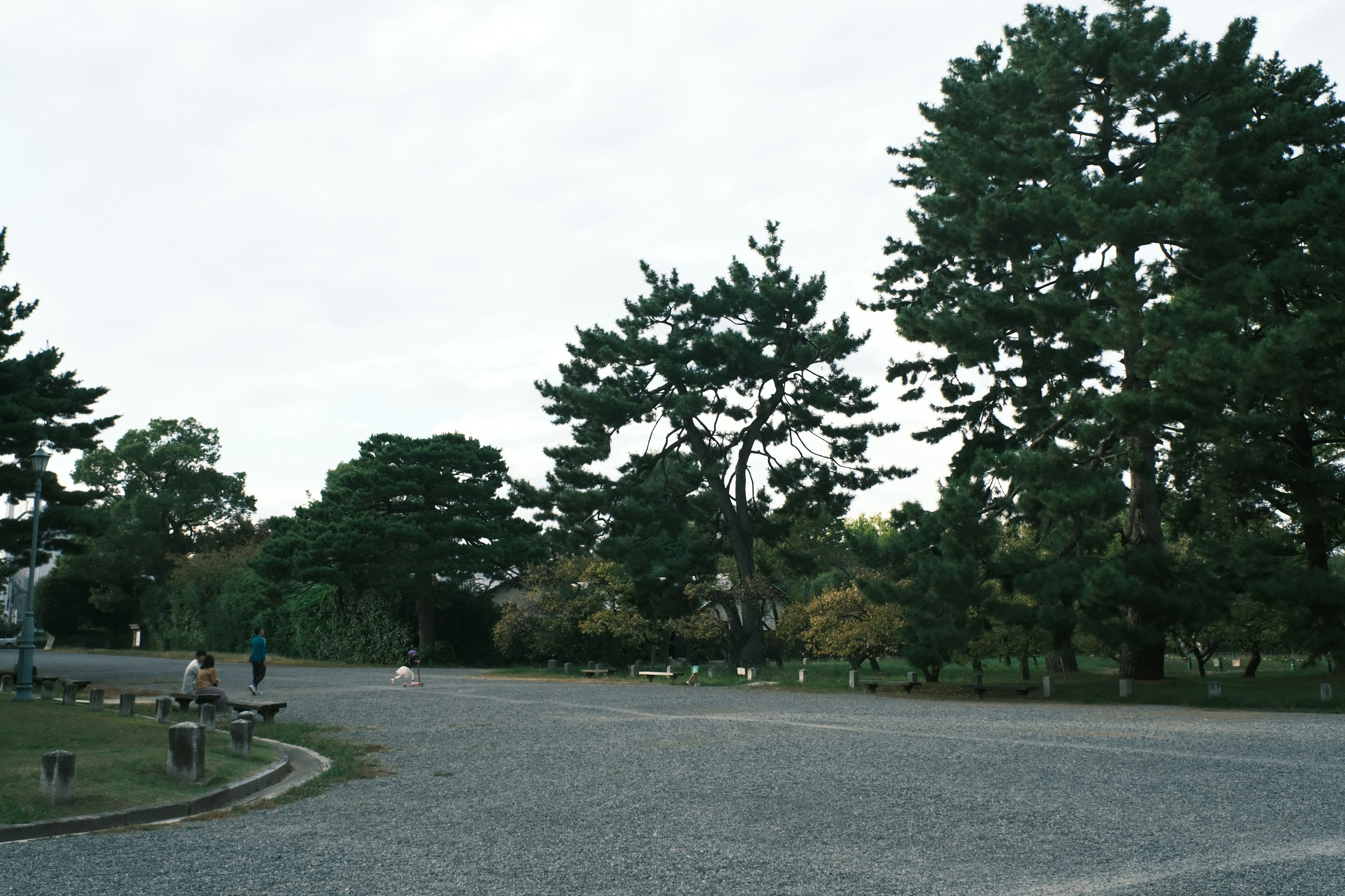 静かな公園の風景 緑の木々と広い道が特徴