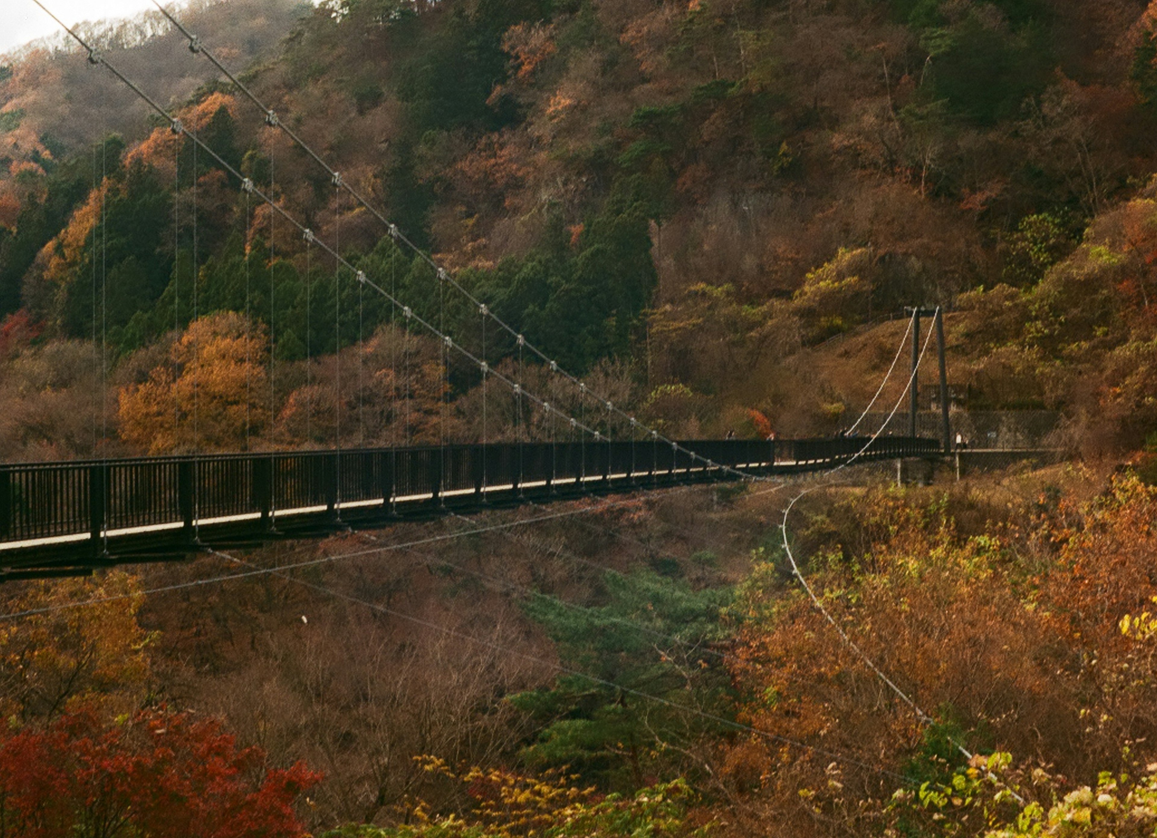 秋の山々を背景にした吊り橋の風景