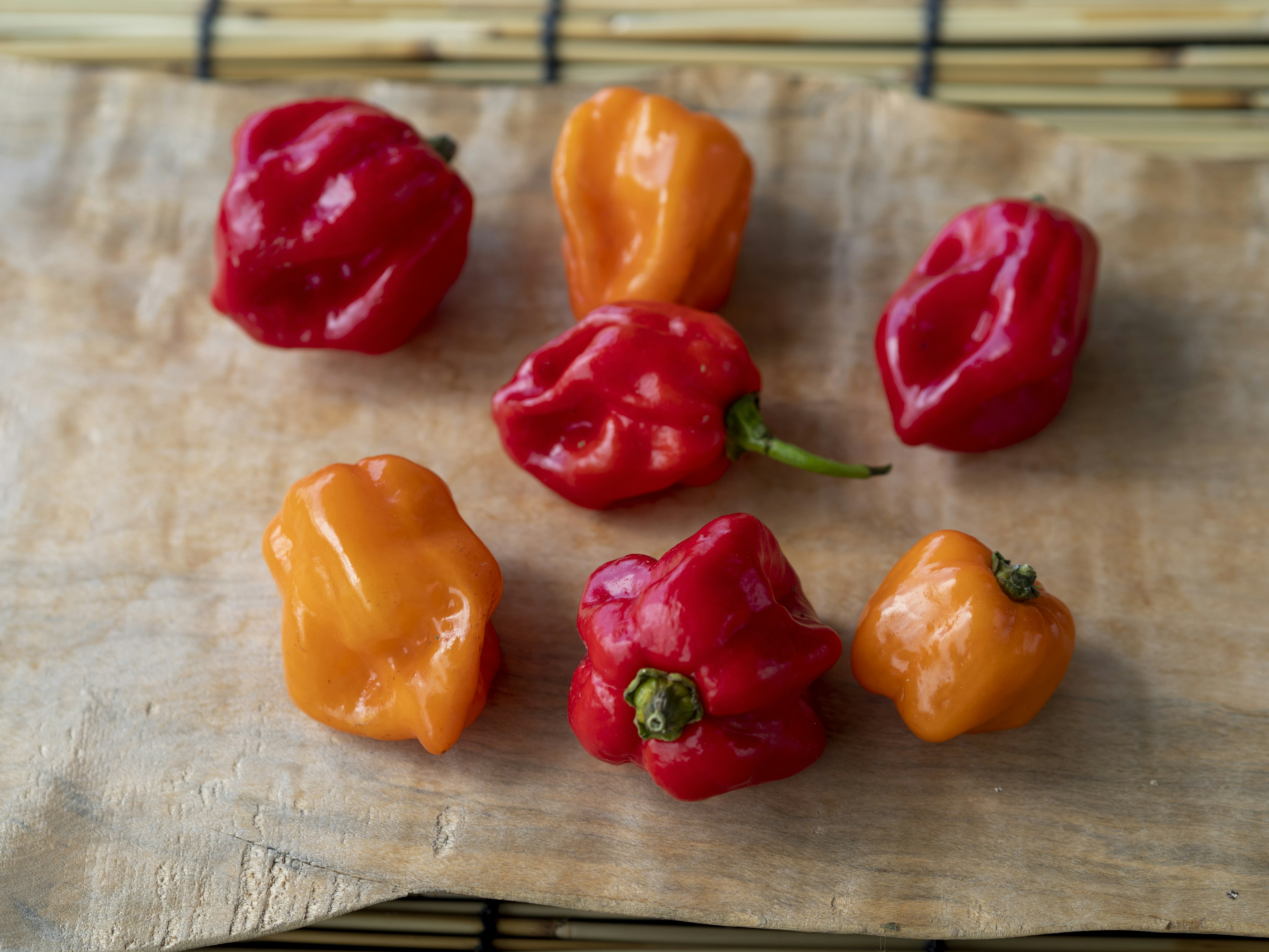 Colorful red and orange habanero peppers arranged on a wooden board