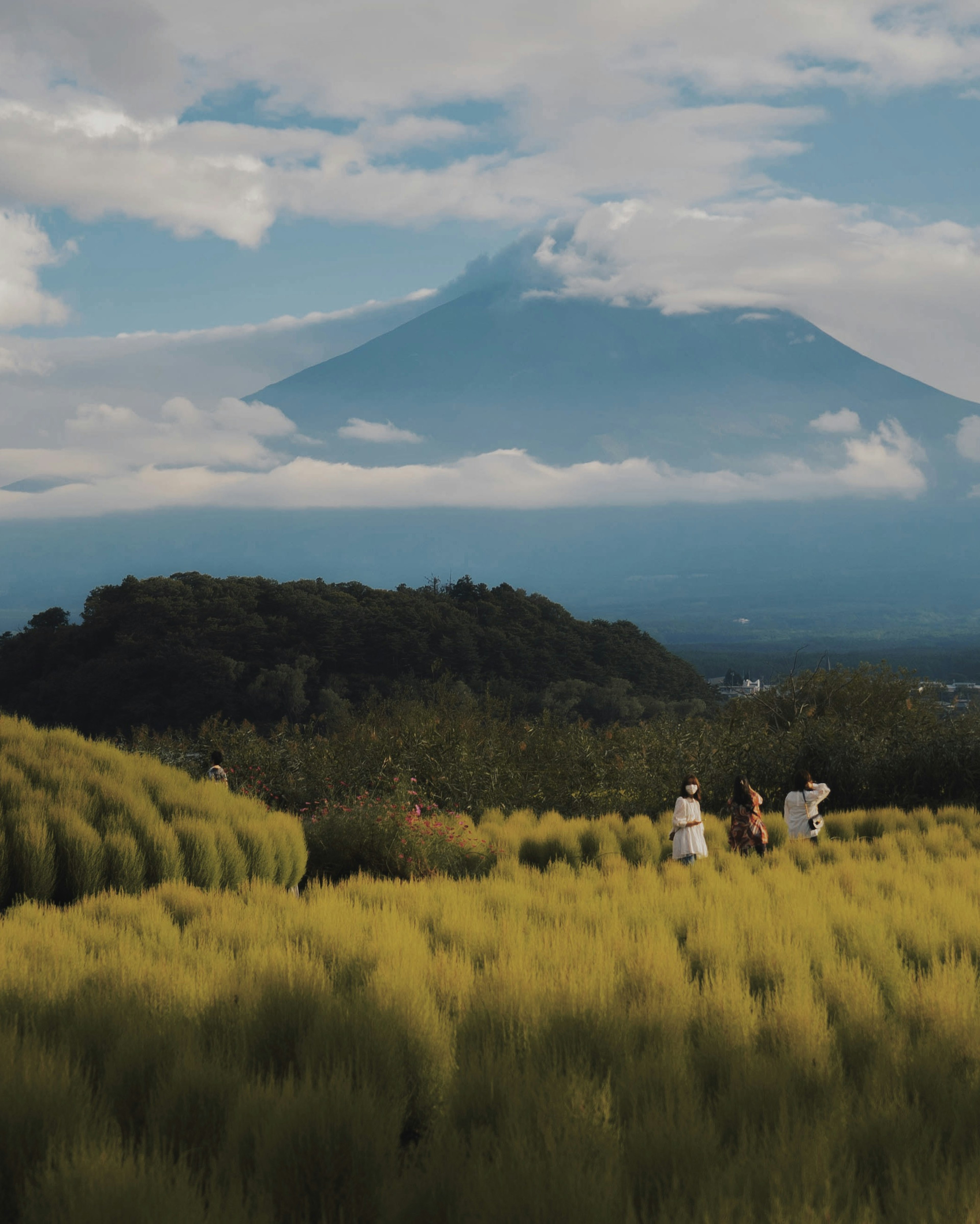 Paisaje rural pintoresco con el Monte Fuji y personas trabajando en un campo de granos