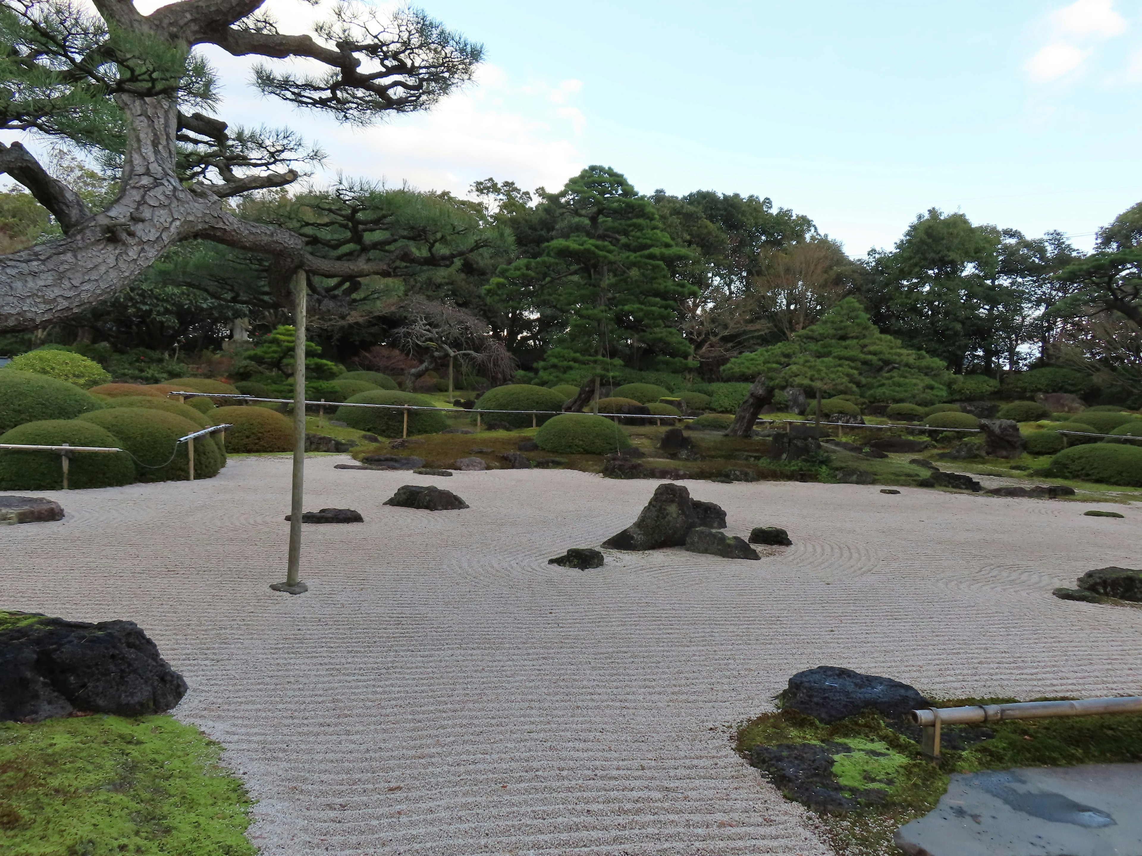 Pemandangan taman Jepang yang tenang dengan berbagai bentuk pohon hijau dan batu