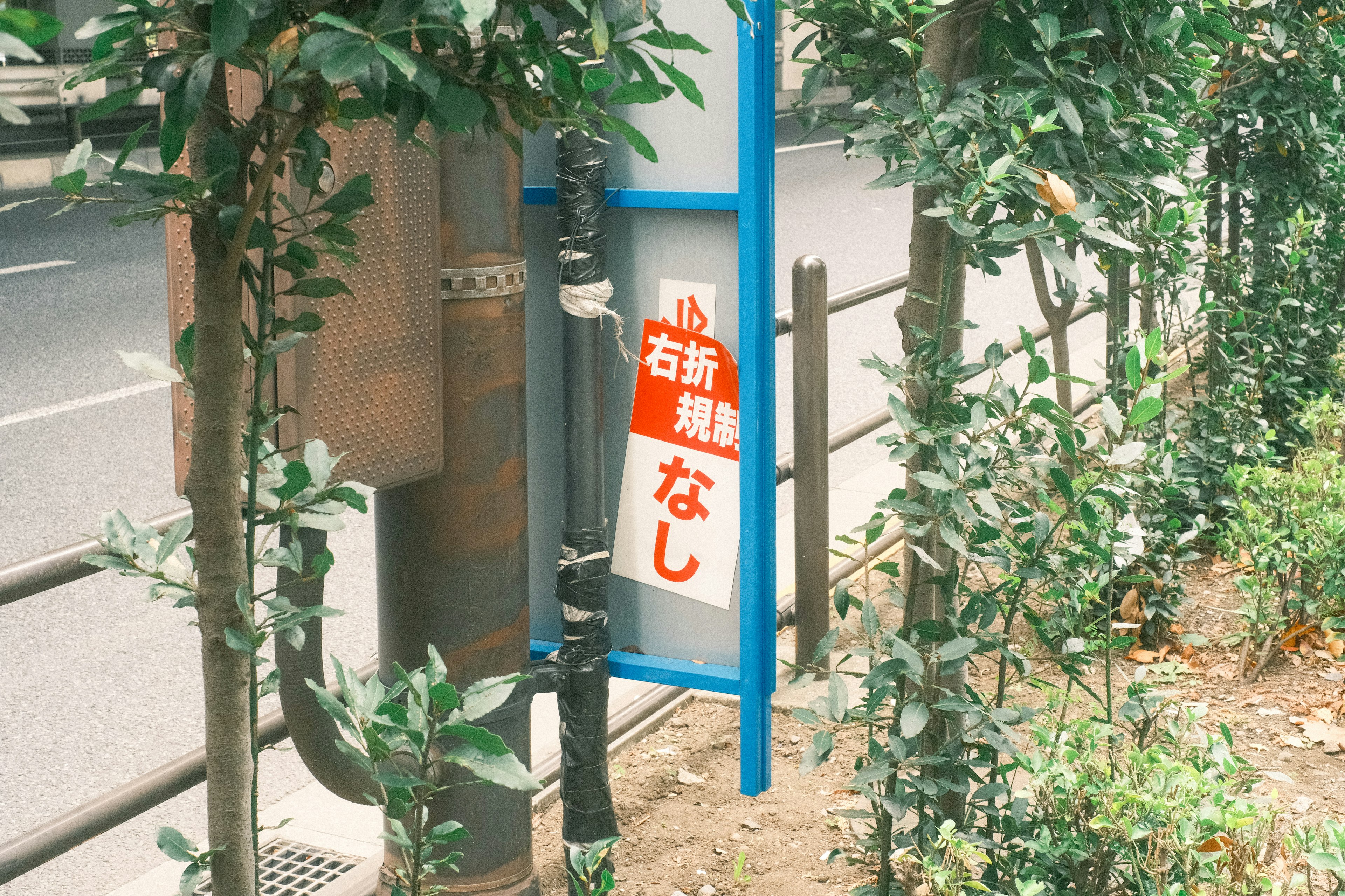 A blue sign by the roadside displaying red text that says no right turn