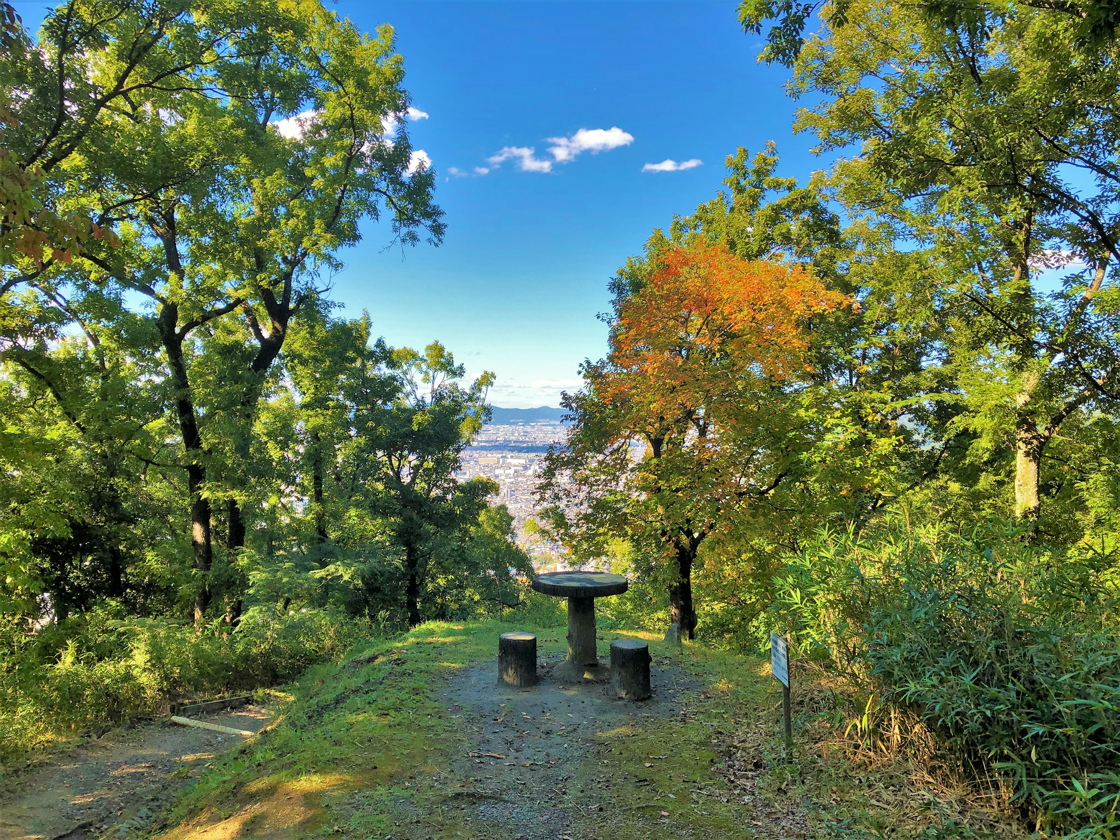 Scenic viewpoint with stone benches surrounded by green trees