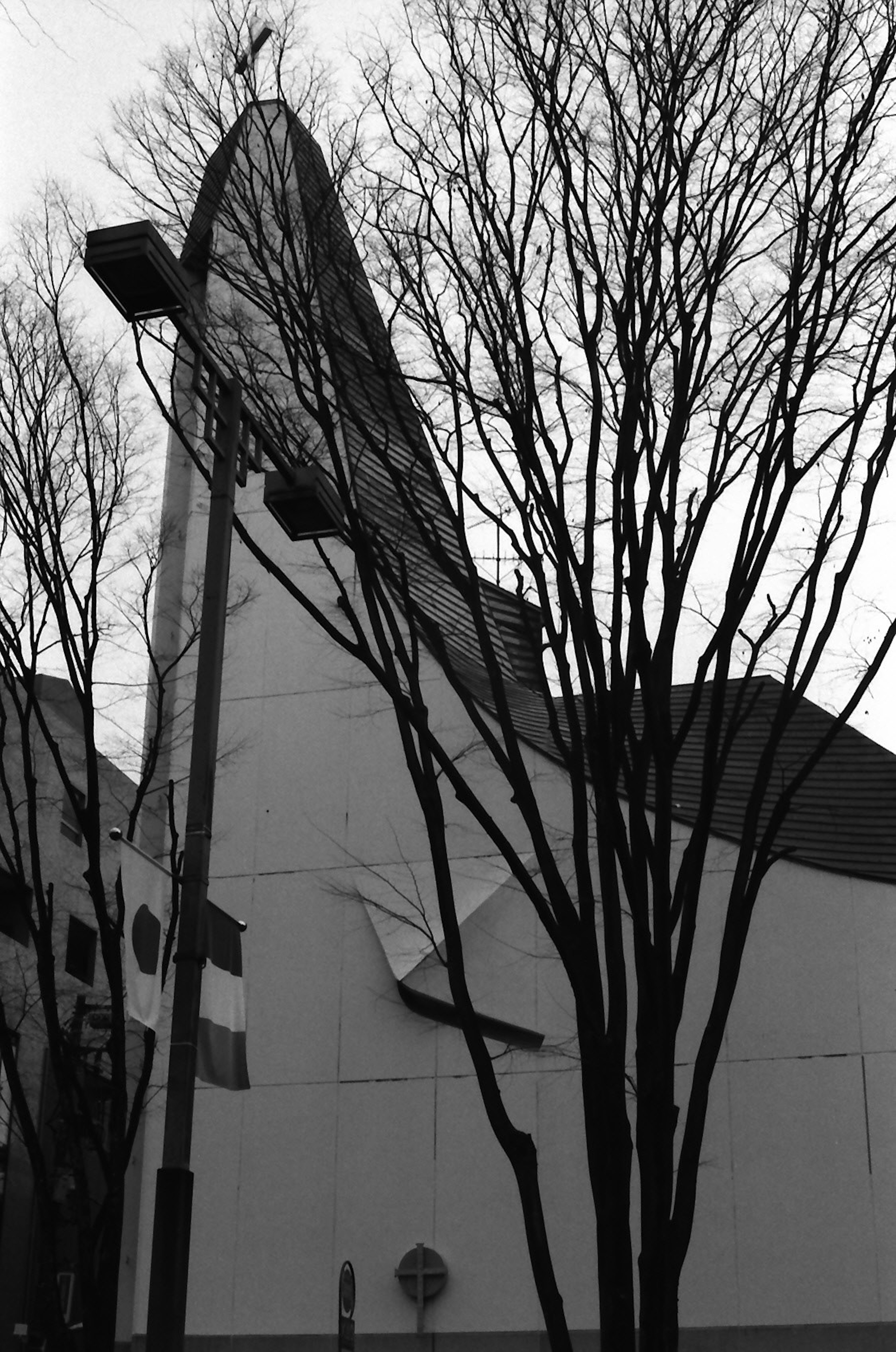 Side view of a modern building with bare winter trees