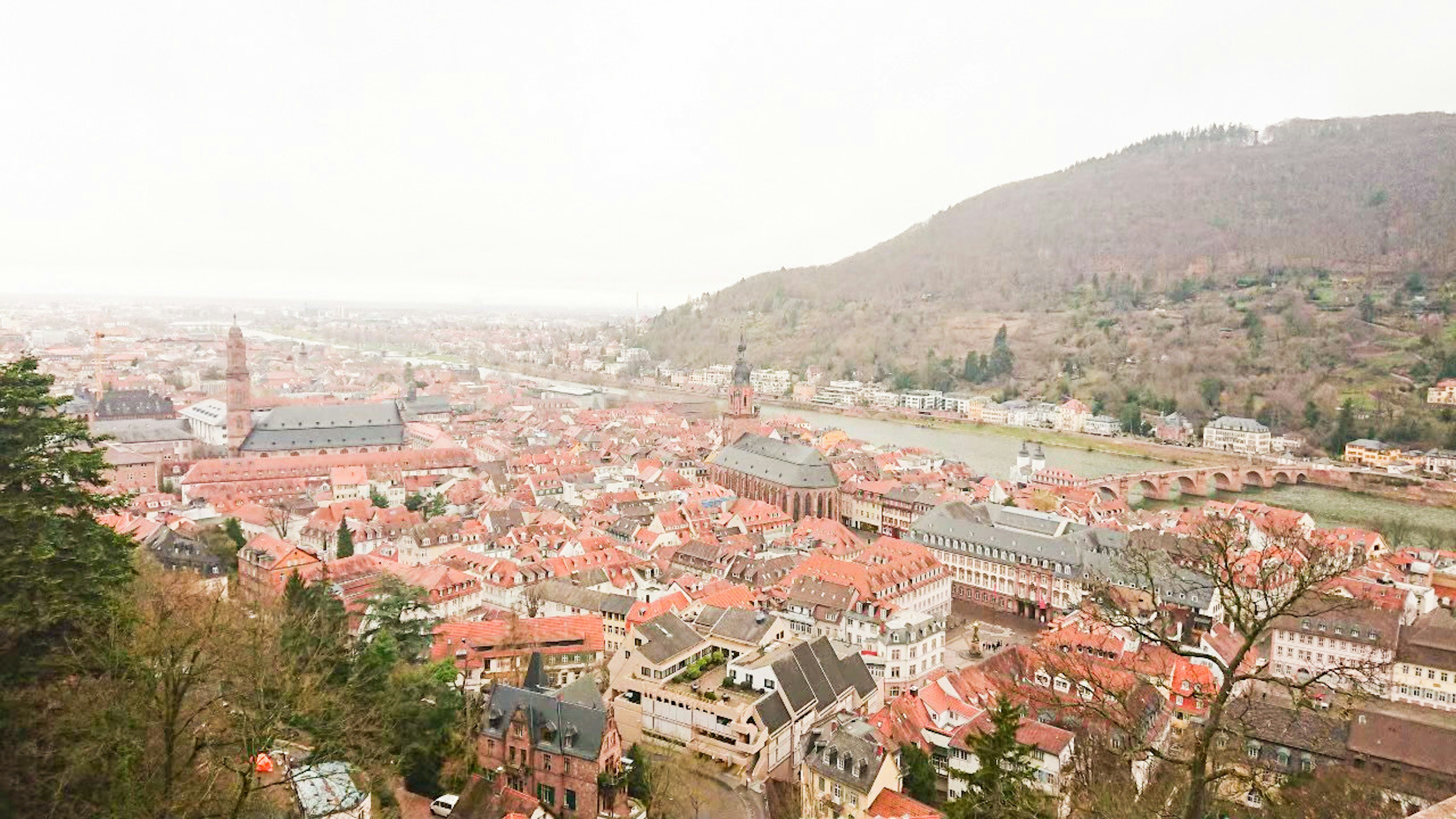 Vue panoramique de Heidelberg avec des bâtiments à toit rouge et des collines