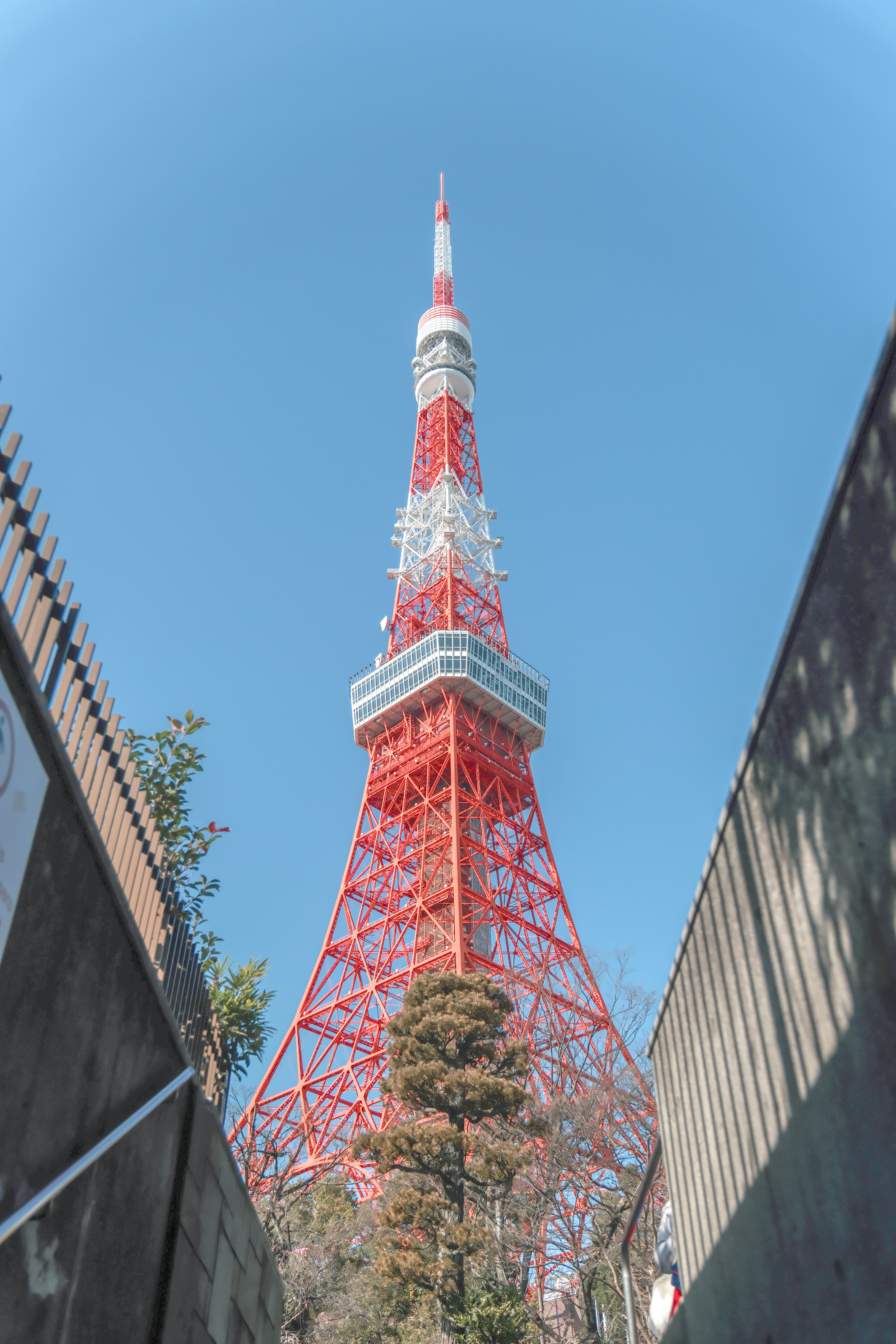 東京タワーの赤い構造が青空の下にそびえ立つ