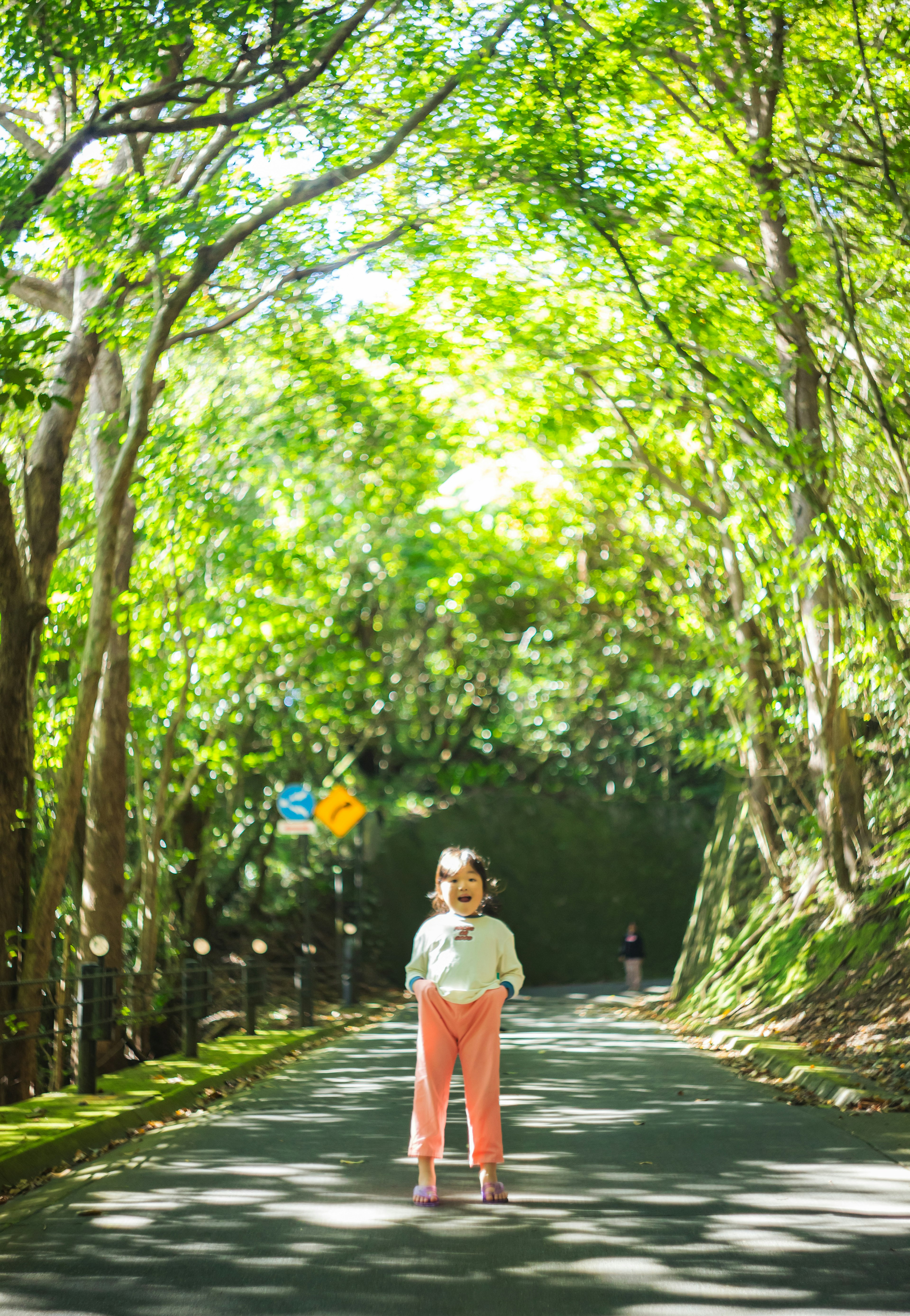 Child standing in the middle of a tree-lined path