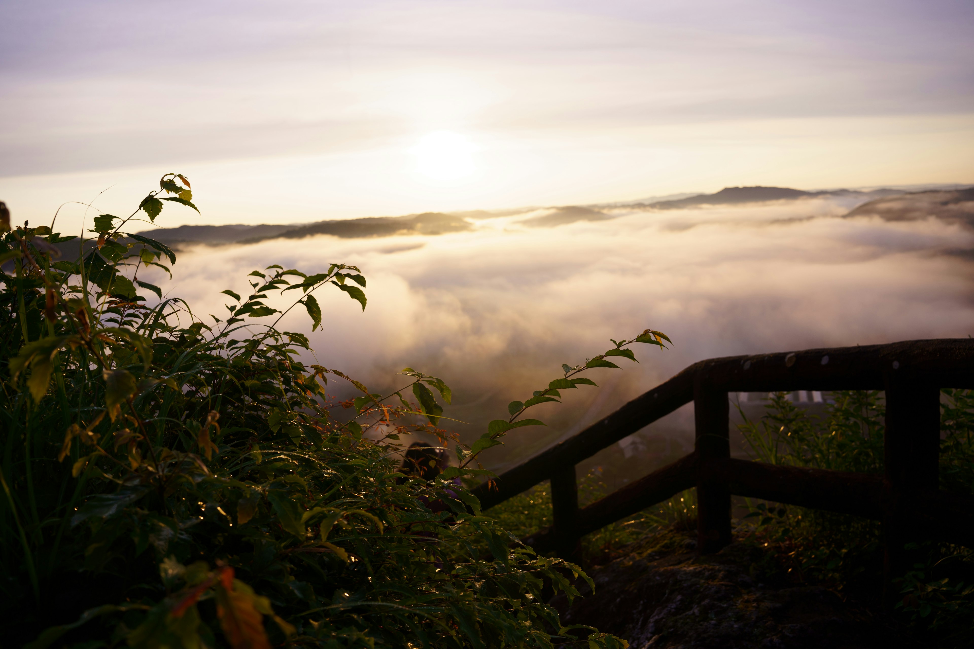 Holzgeländer mit Blick auf eine neblige Landschaft bei Sonnenaufgang