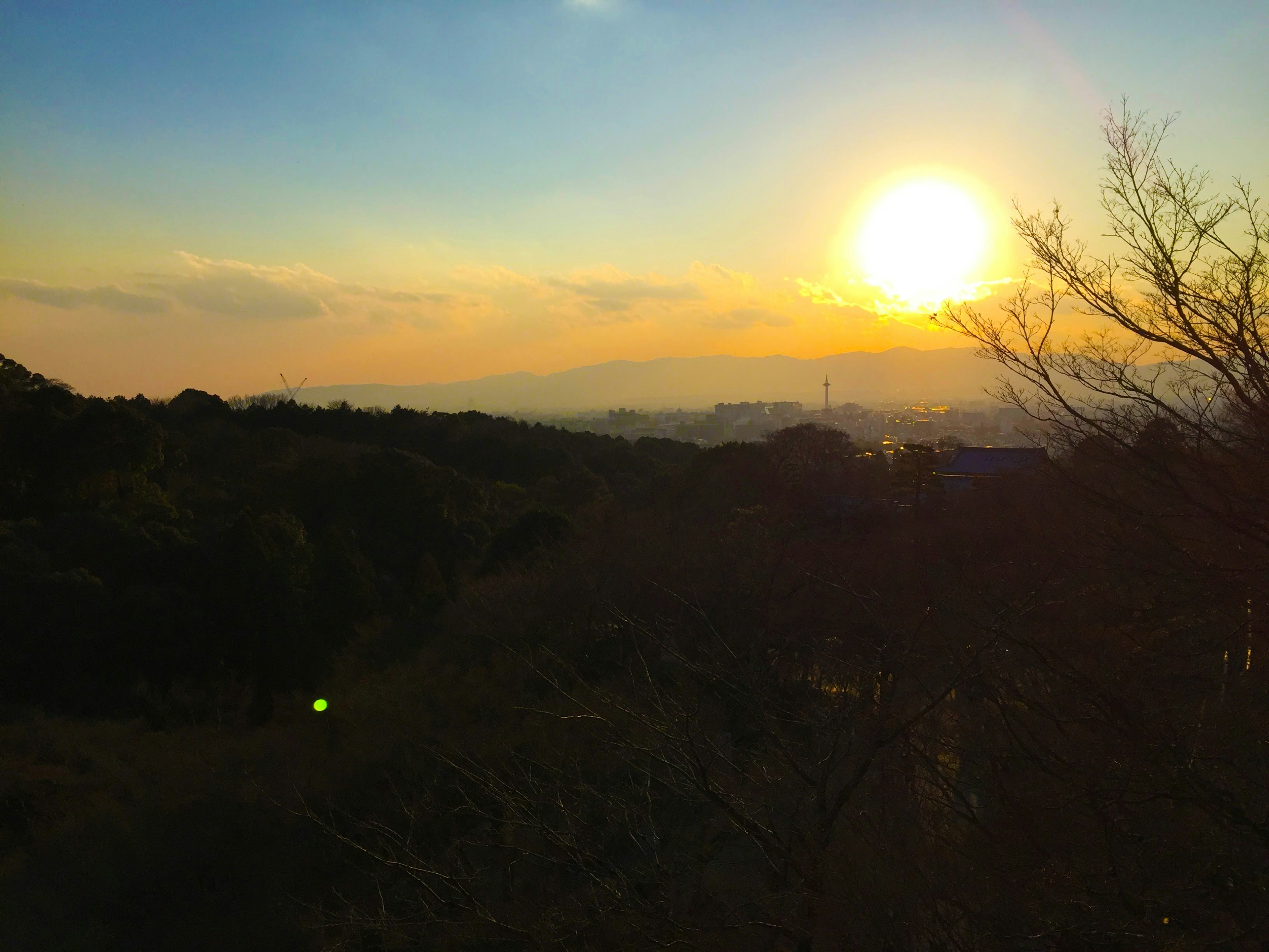 Magnifique coucher de soleil sur des montagnes avec des silhouettes d'arbres