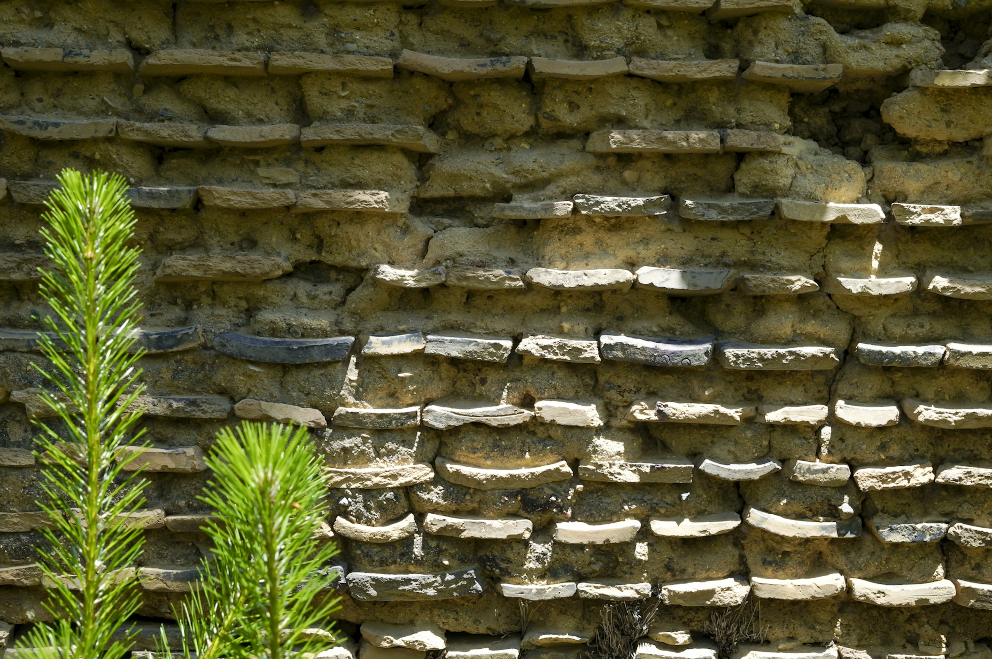 Nahaufnahme einer Steinmauer mit grünen Pflanzen