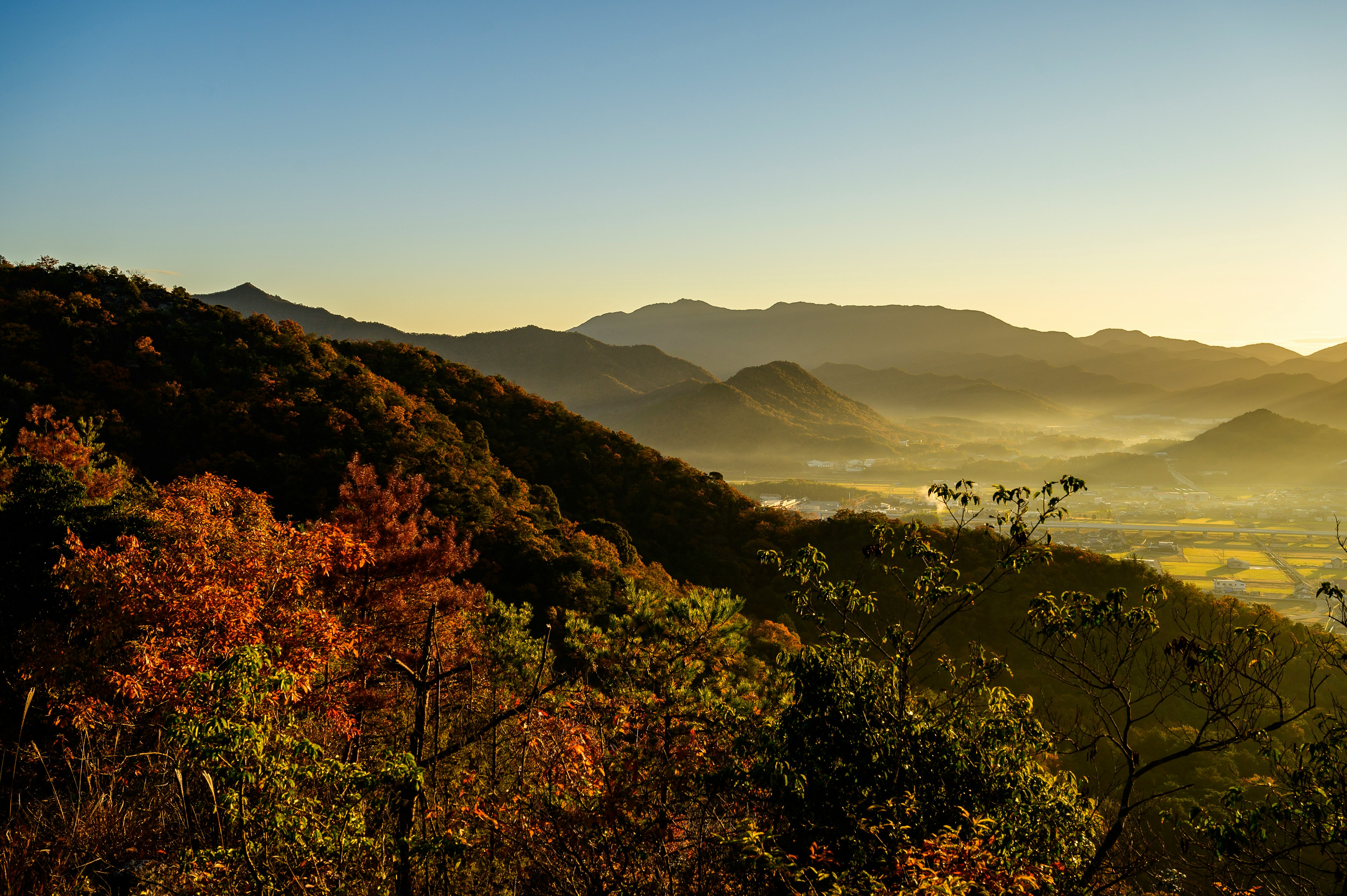 Magnifique paysage de montagne automnal avec vallée brumeuse