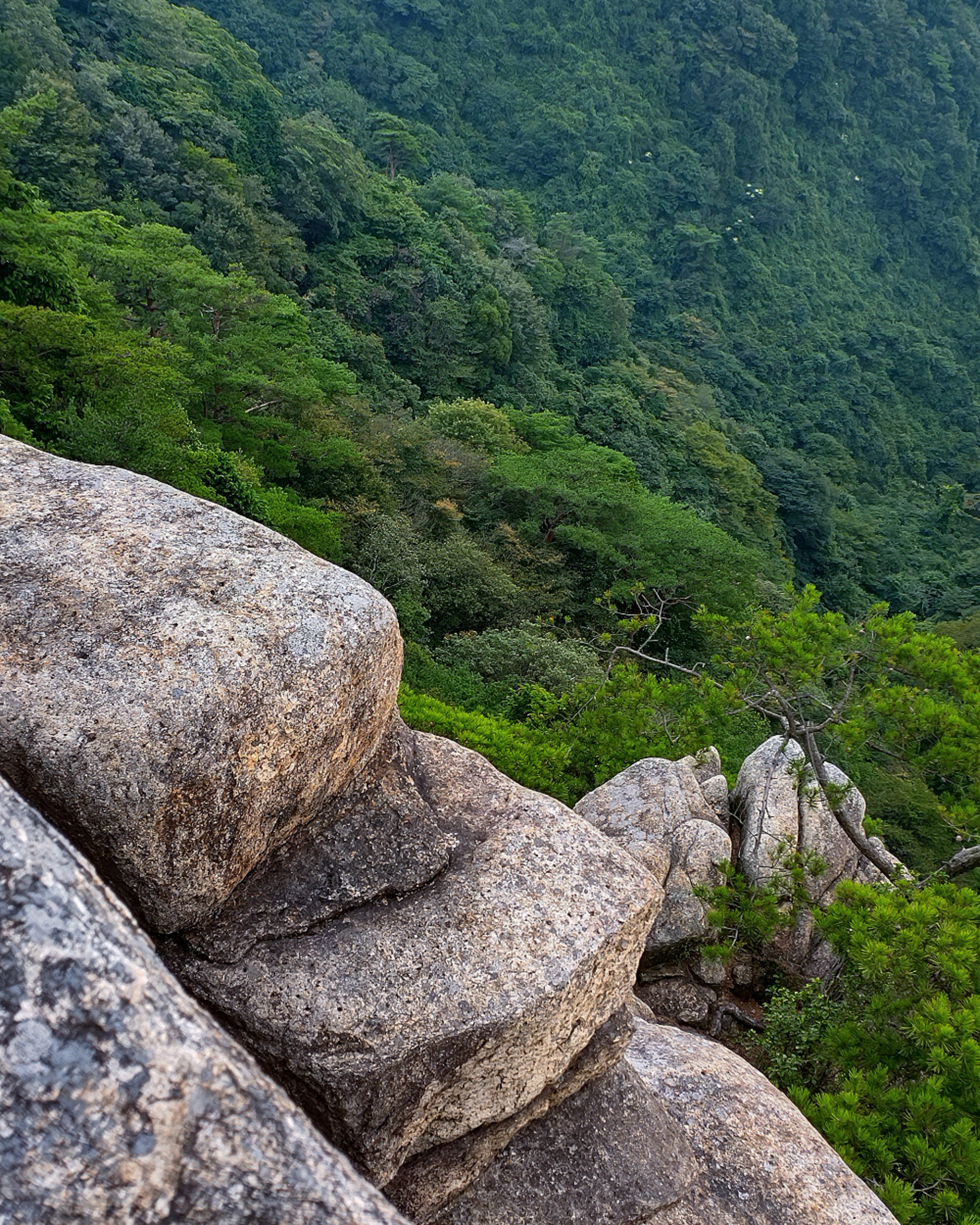 Close-up of rocks overlooking a lush green mountainside