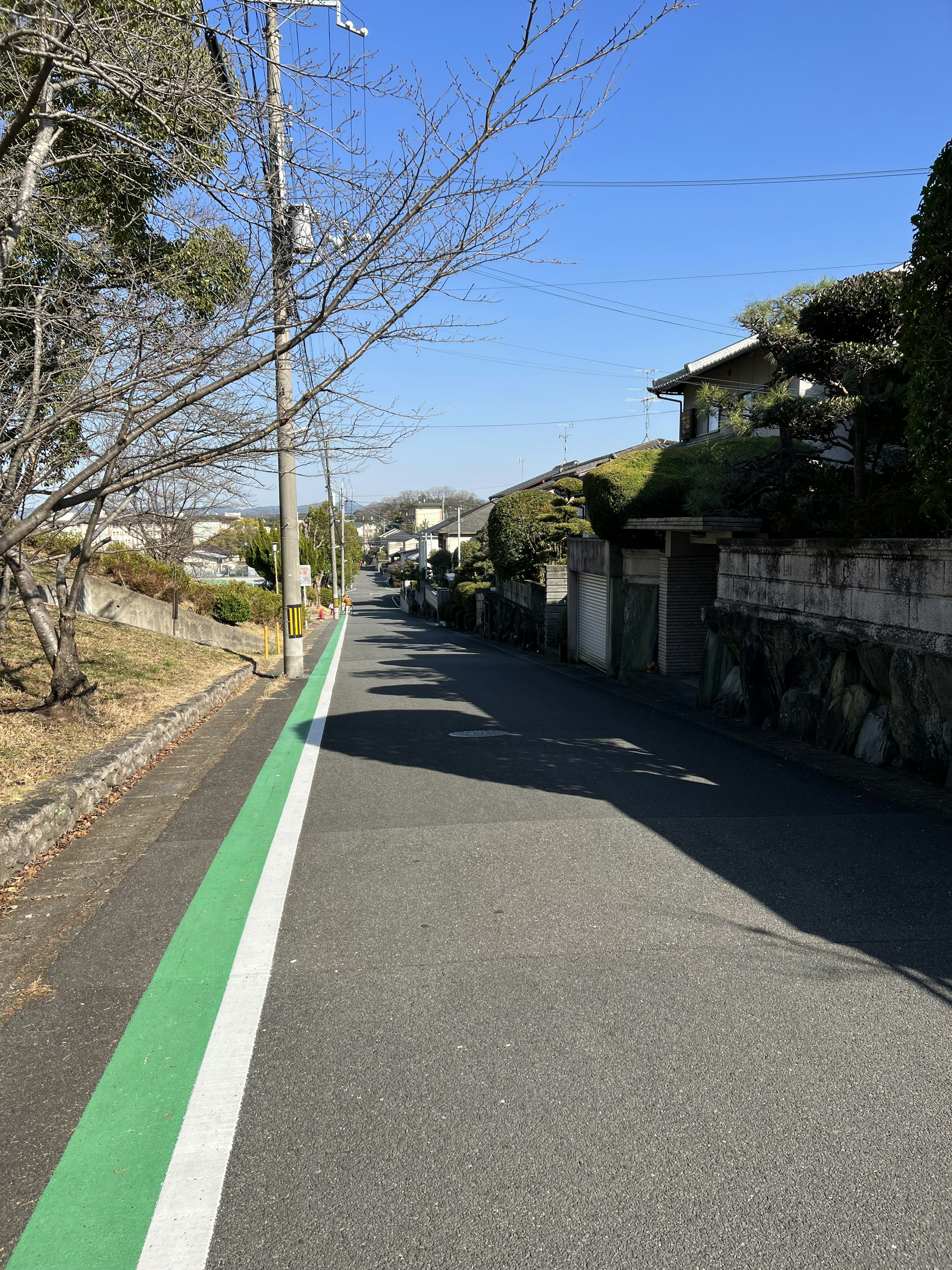 静かな住宅街の道 緑の車線と青い空