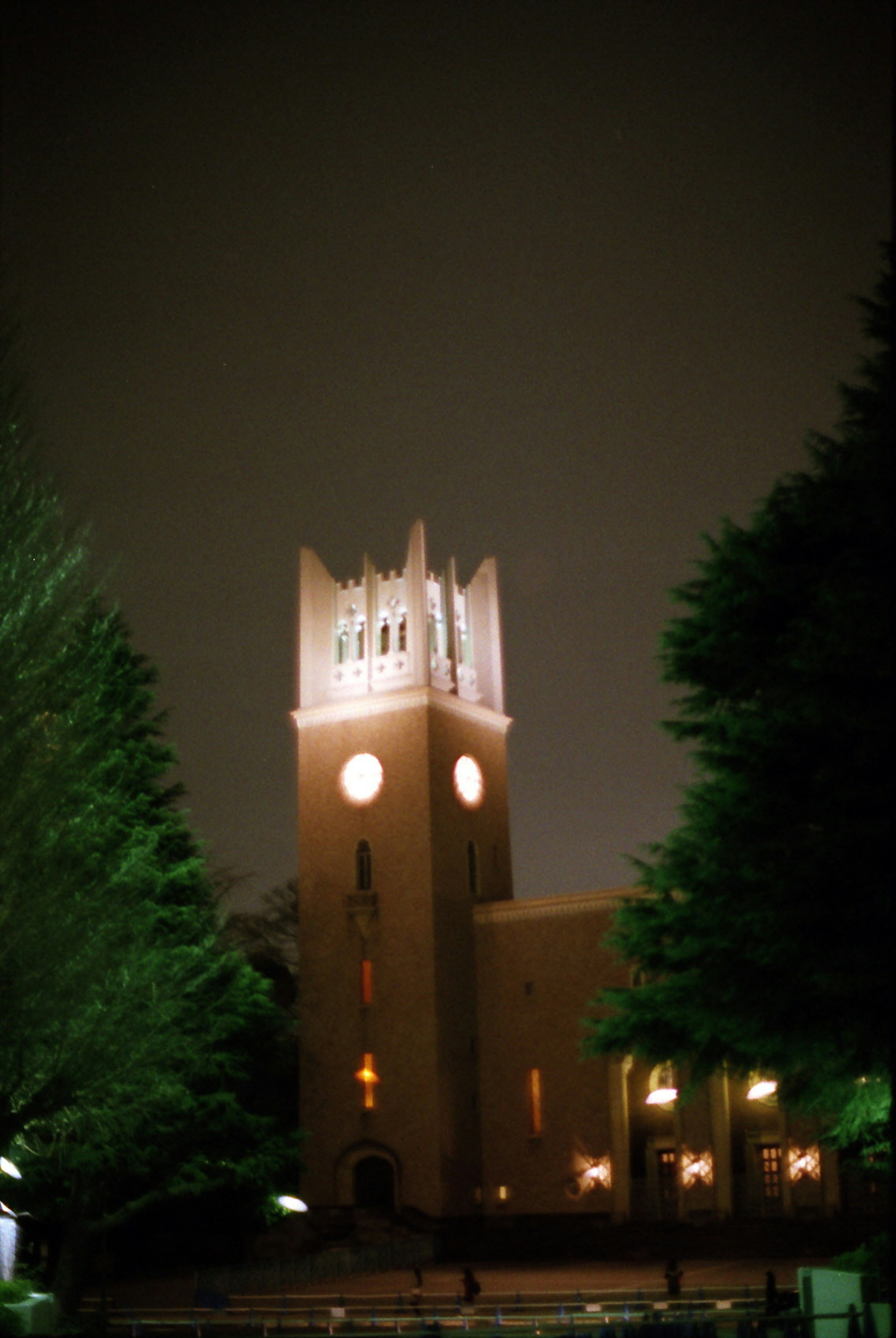 Torre del reloj iluminada por la noche rodeada de árboles verdes